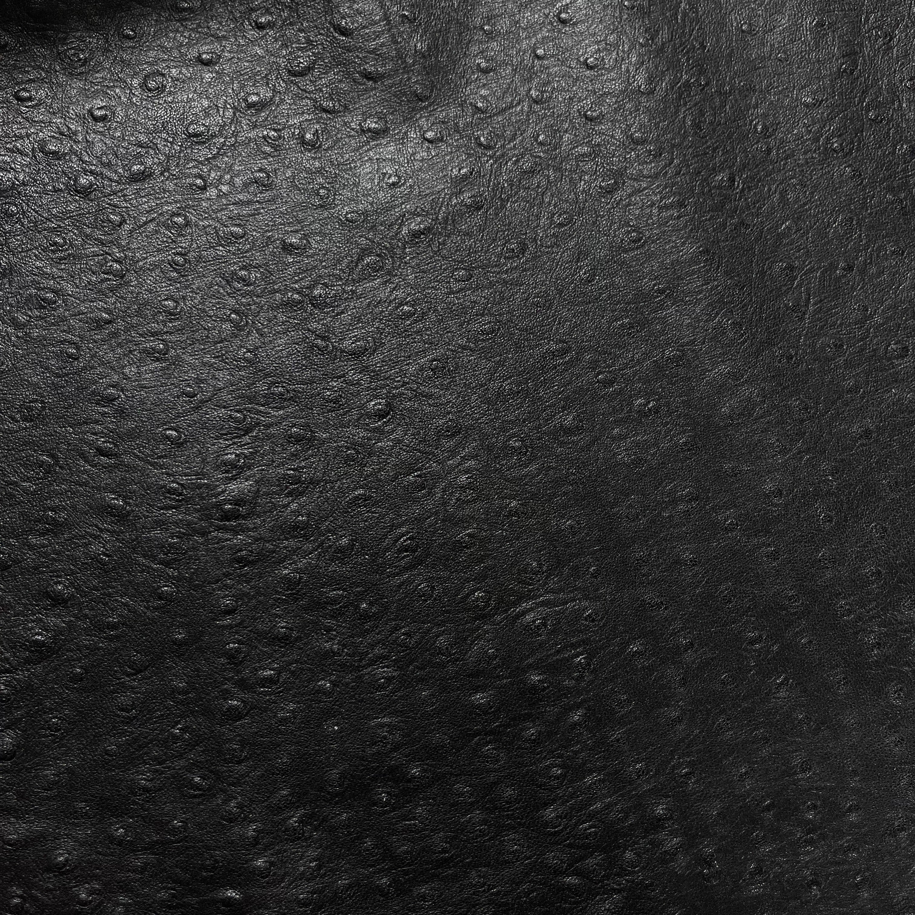 Ostrich Quill Embossed Veg Tan Lambskin, 2.5 oz | 3 Colors