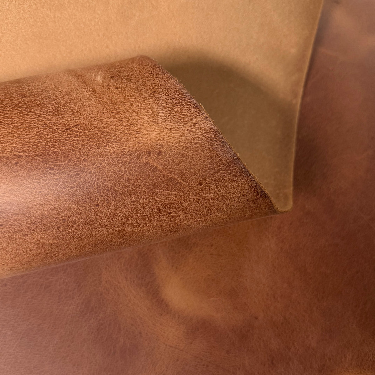 Aragona cognac brown leather featuring a natural, textured grain and a soft, flexible folded edge.
