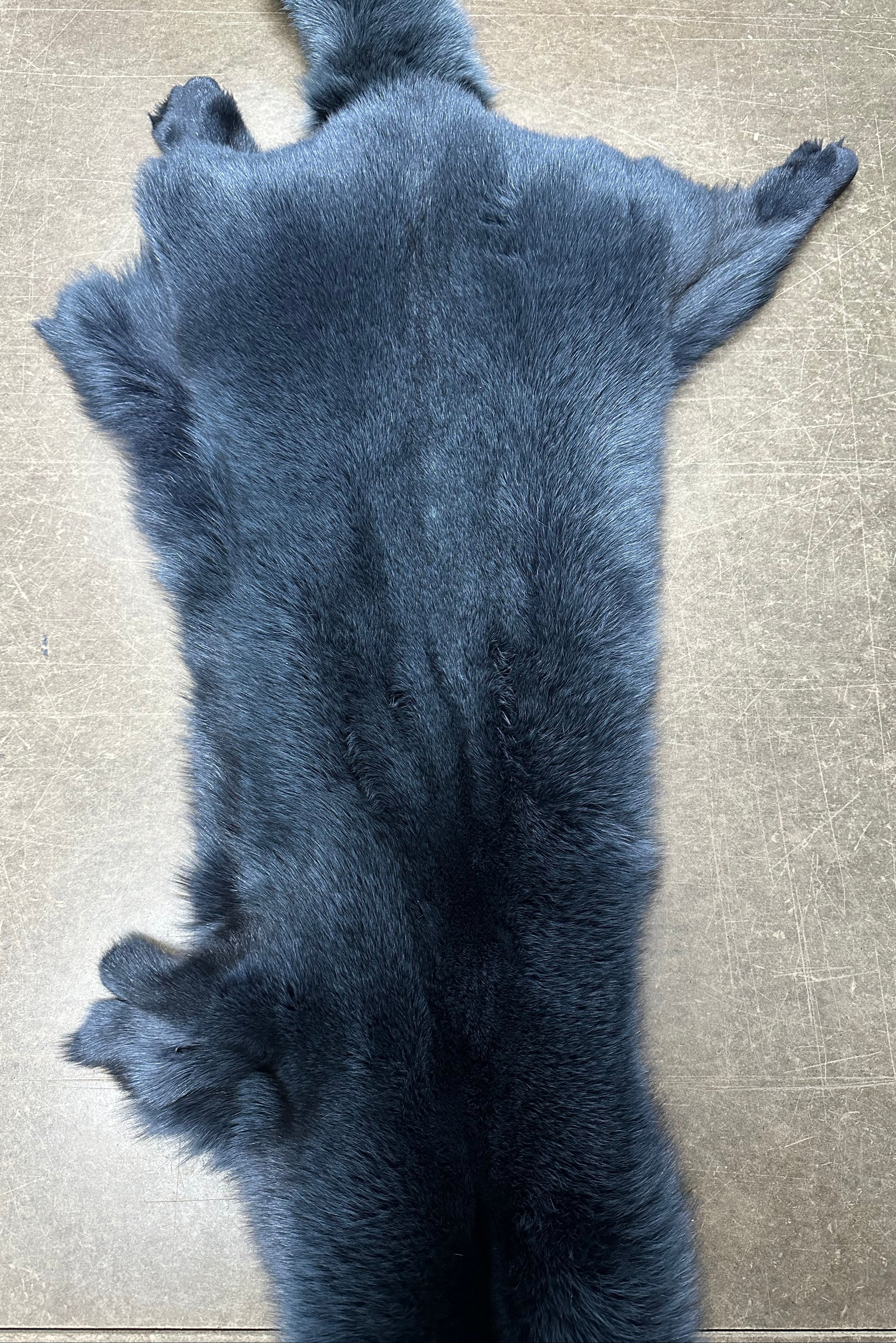 Fox Pelt | 30+ Colors