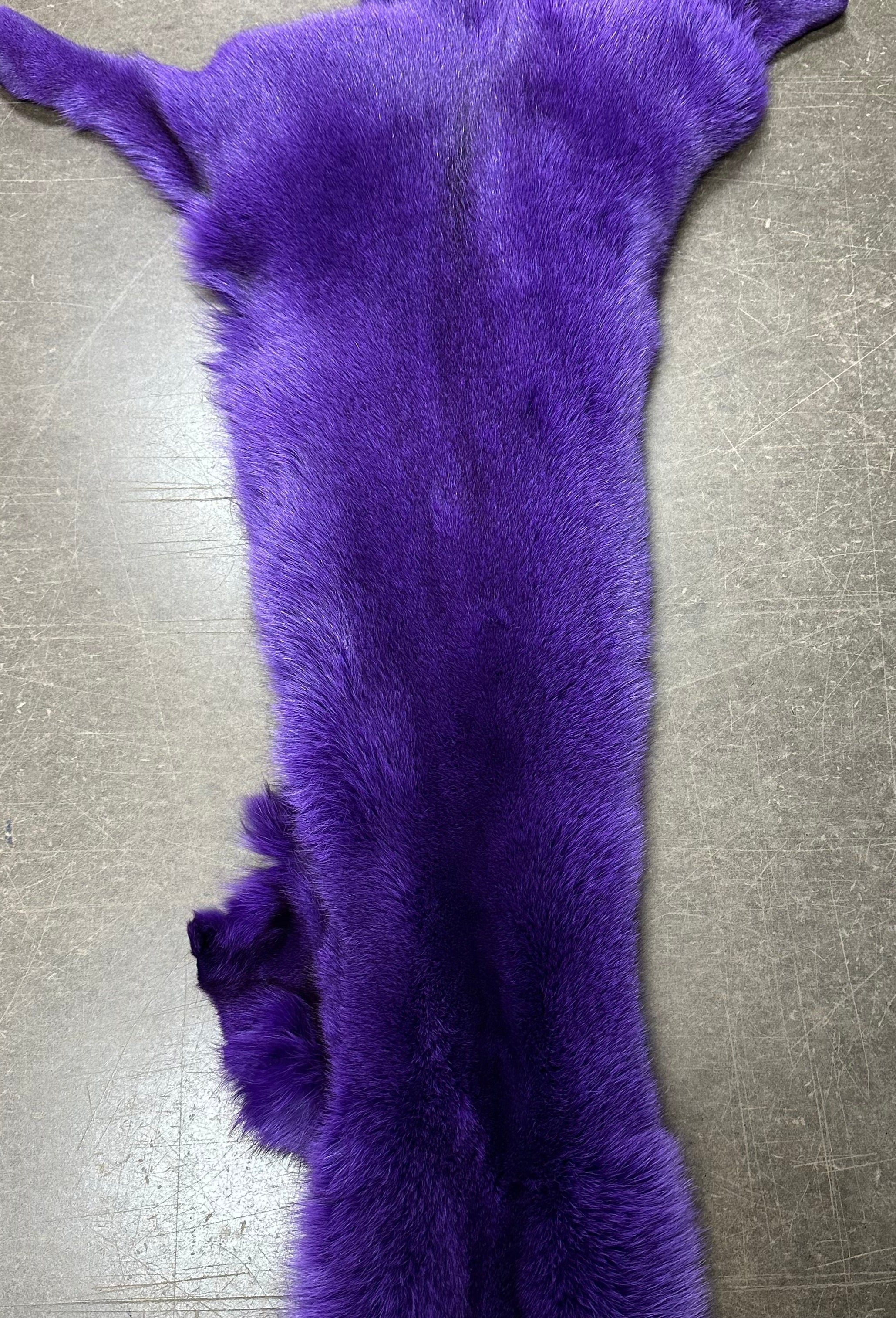 Fox Pelt | 30+ Colors
