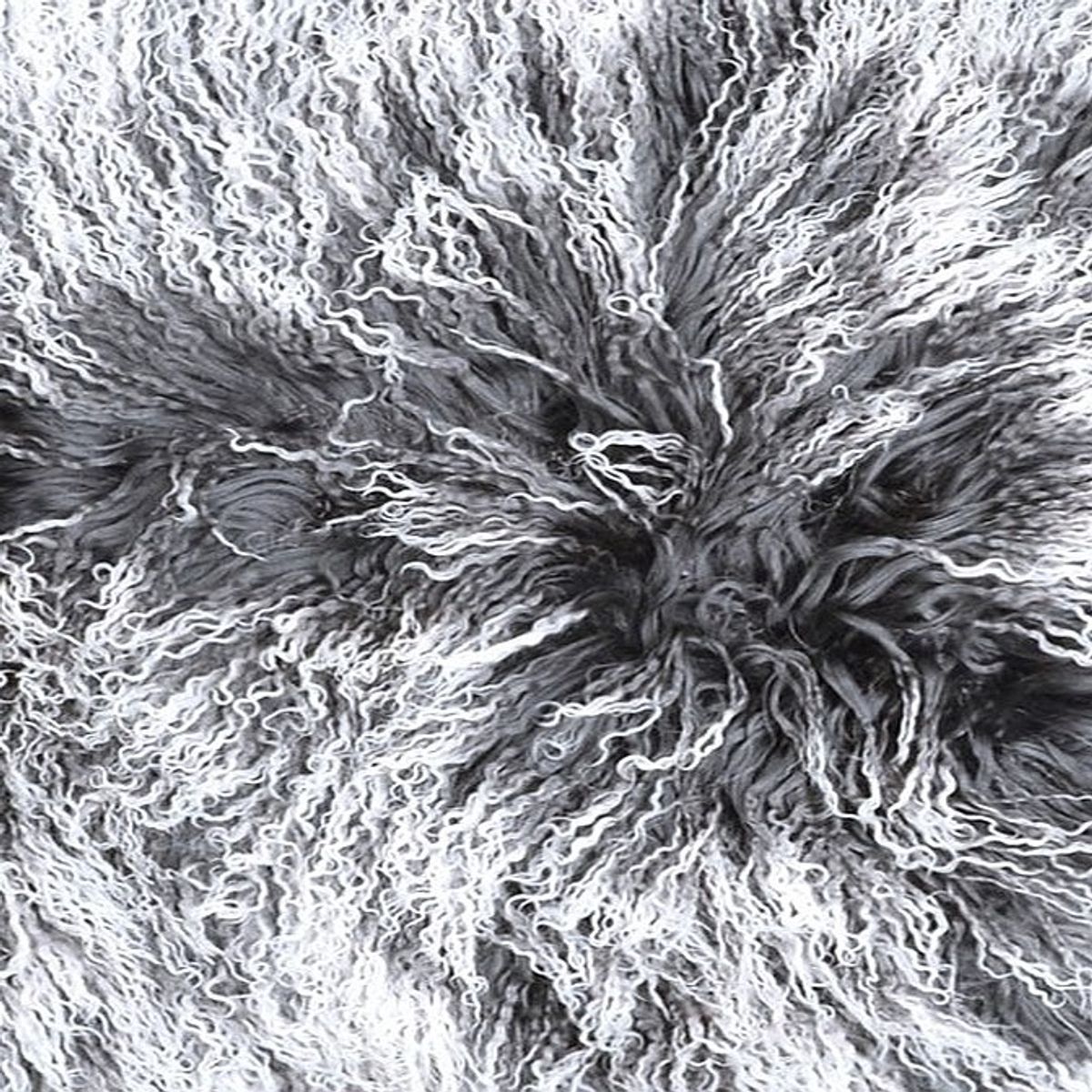 Mongolian Curly Lamb Plate | 30+ Colors