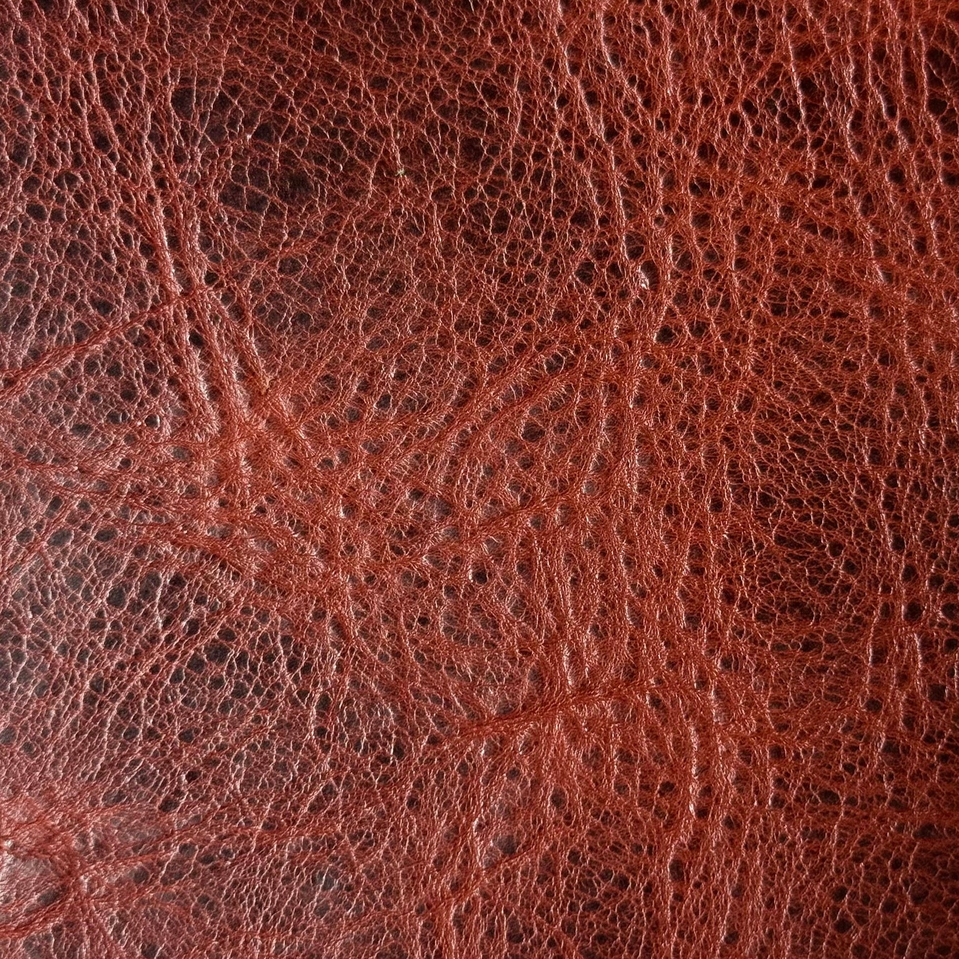 Distressed Veg Tan American Bison, 4 oz | 10+ Colors