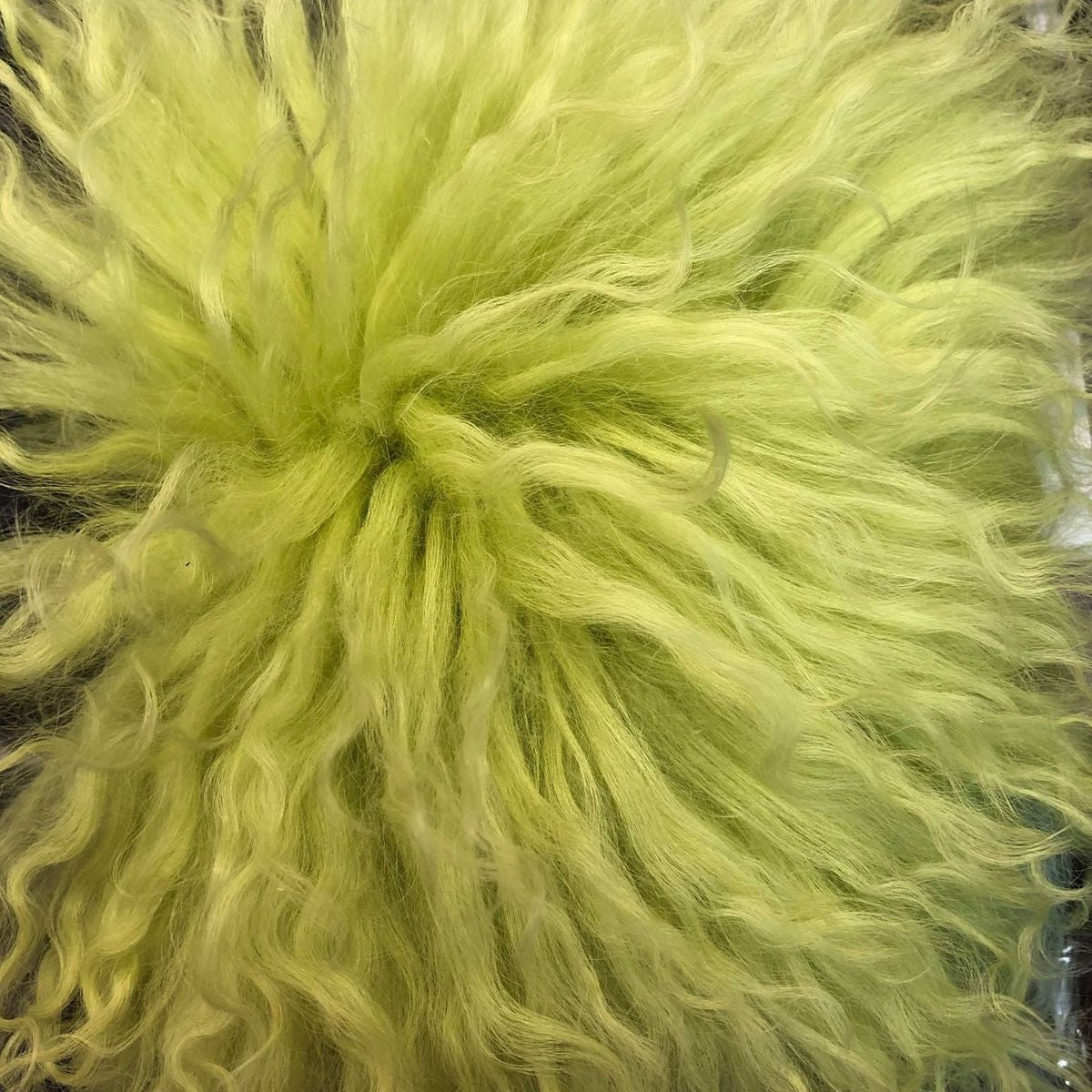 Mongolian Curly Lamb Plate | 30+ Colors