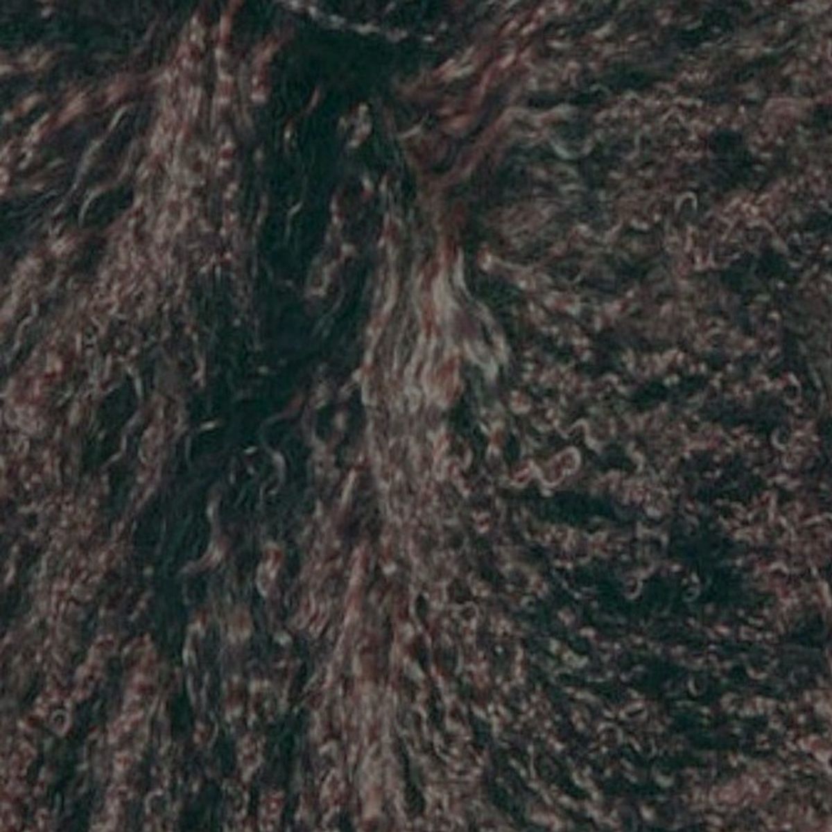 Mongolian Curly Lamb Plate | 30+ Colors