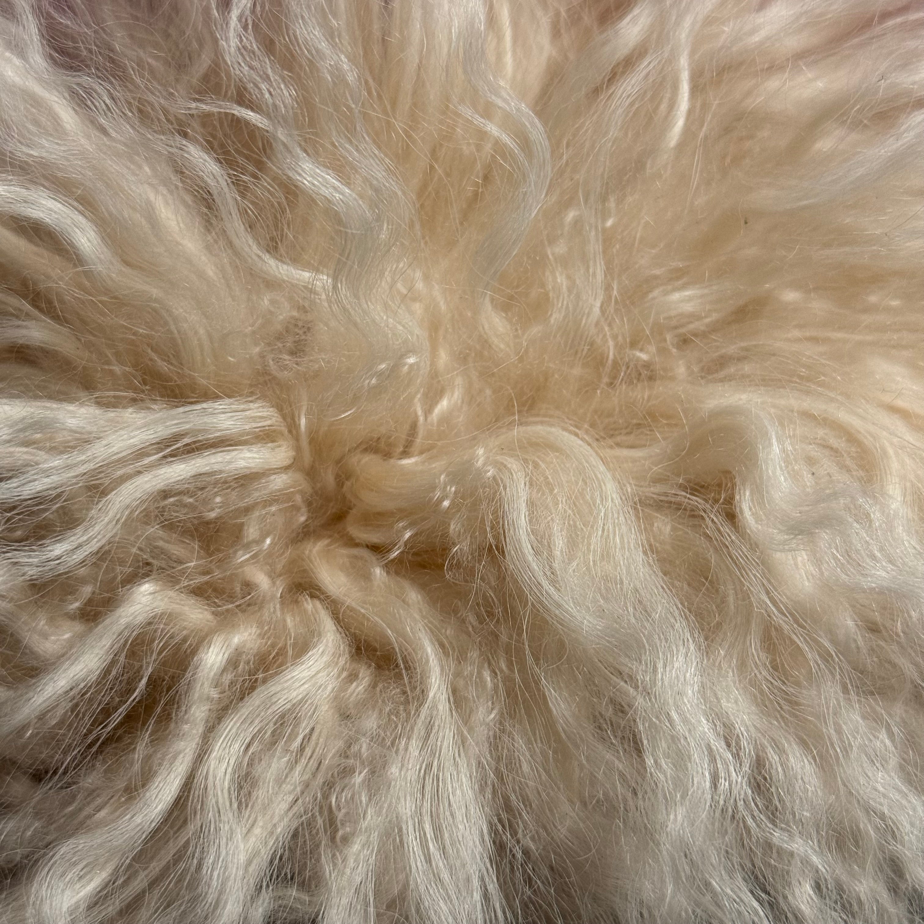 Mongolian Tibetan Curly Lamb Plate | 30+ Colors