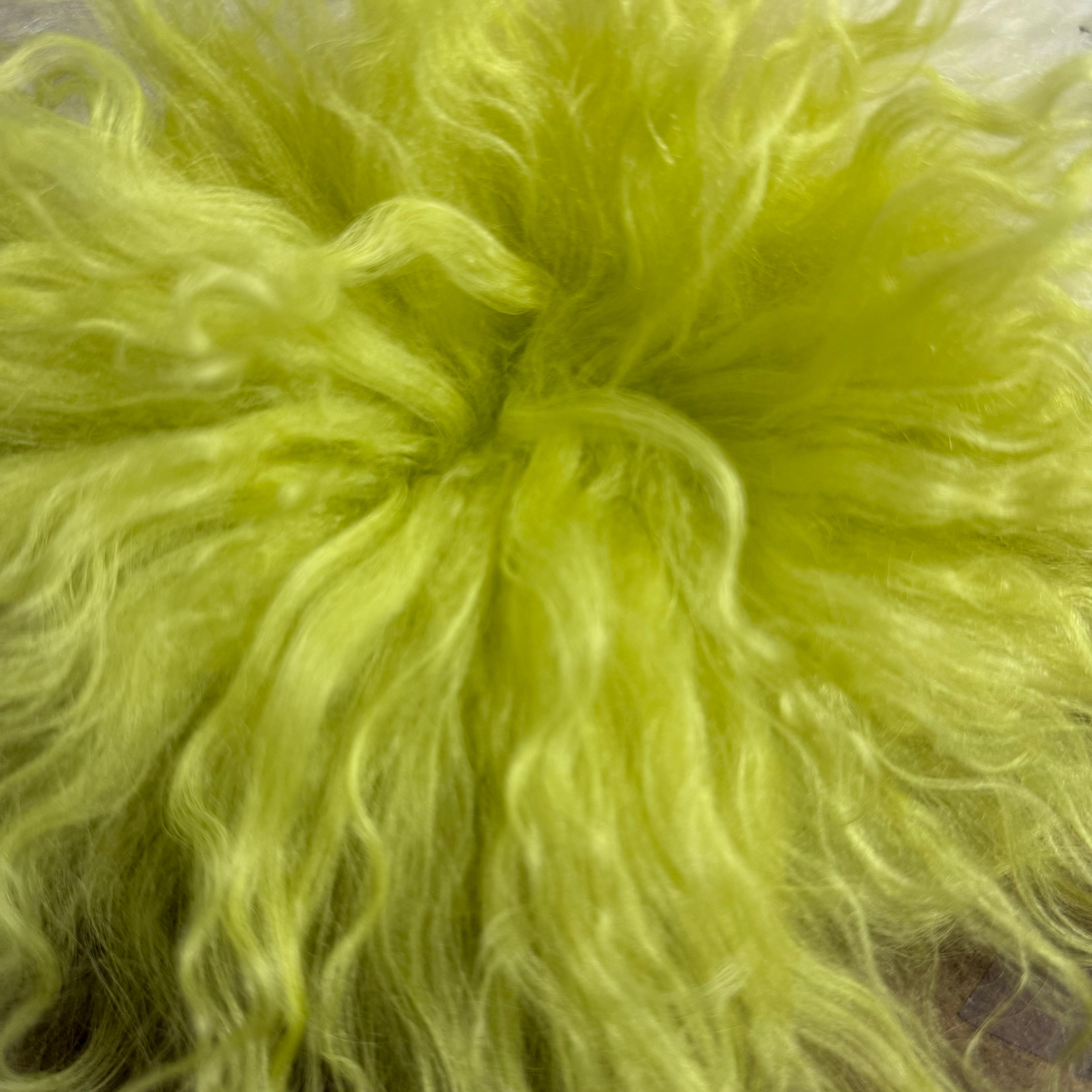 Mongolian Tibetan Curly Lamb Plate | 30+ Colors