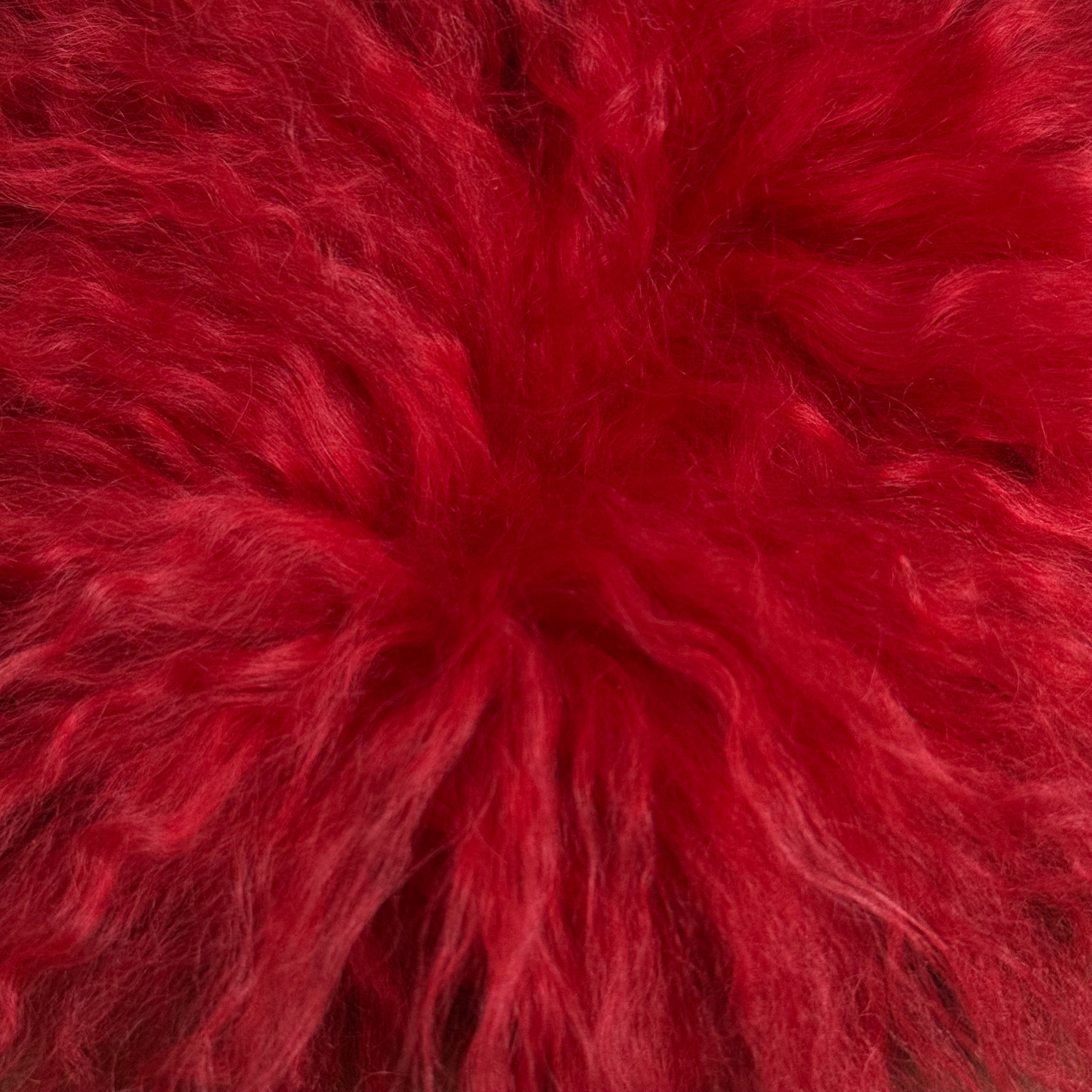 Mongolian Tibetan Curly Lamb Plate | 30+ Colors