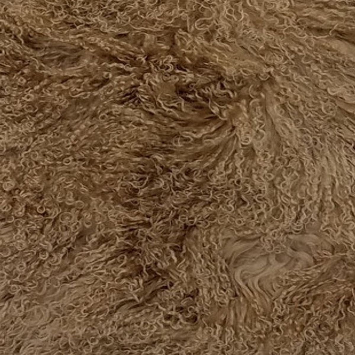 Mongolian Curly Lamb Plate | 30+ Colors