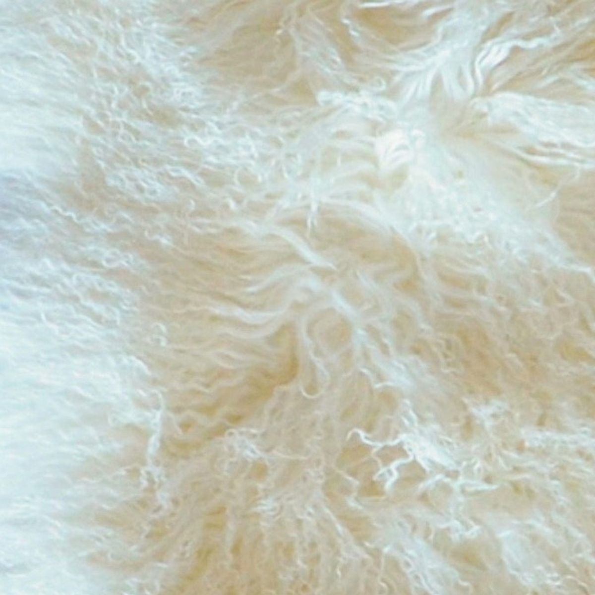 Mongolian Curly Lamb Plate | 30+ Colors