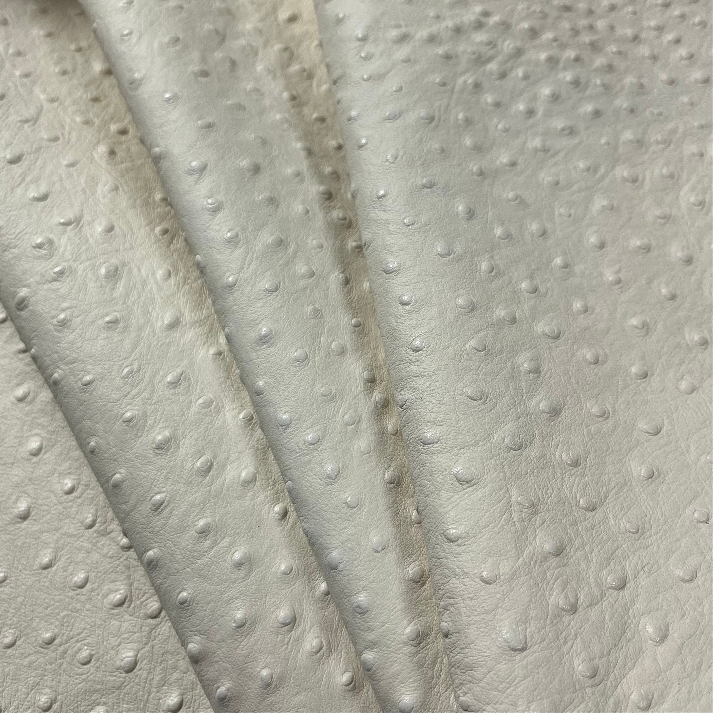 Ostrich Quill Embossed Veg Tan Lamb Nappa, 2-3 oz | 4 Colors