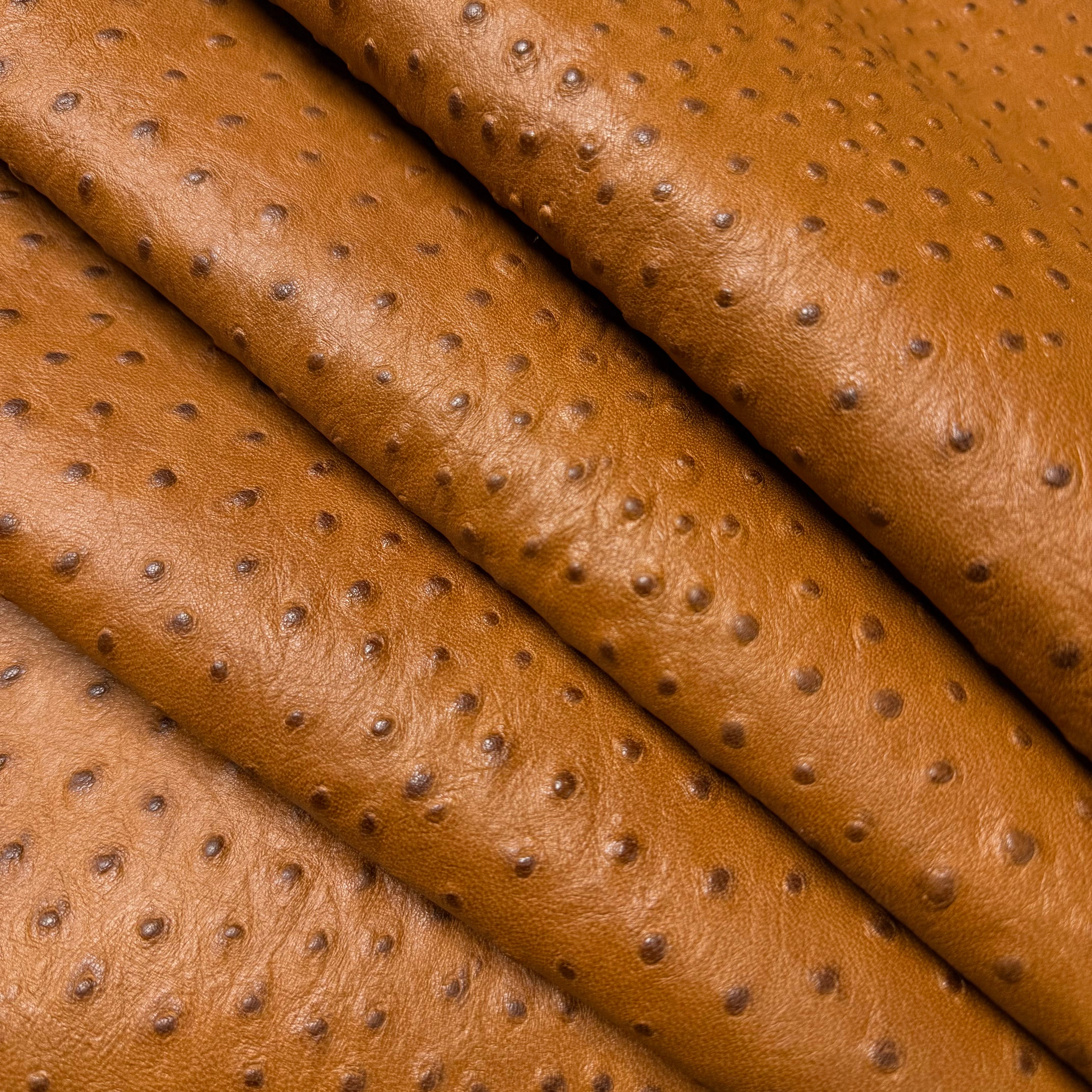Ostrich Quill Embossed Veg Tan Lamb Nappa, 2-3 oz | 4 Colors