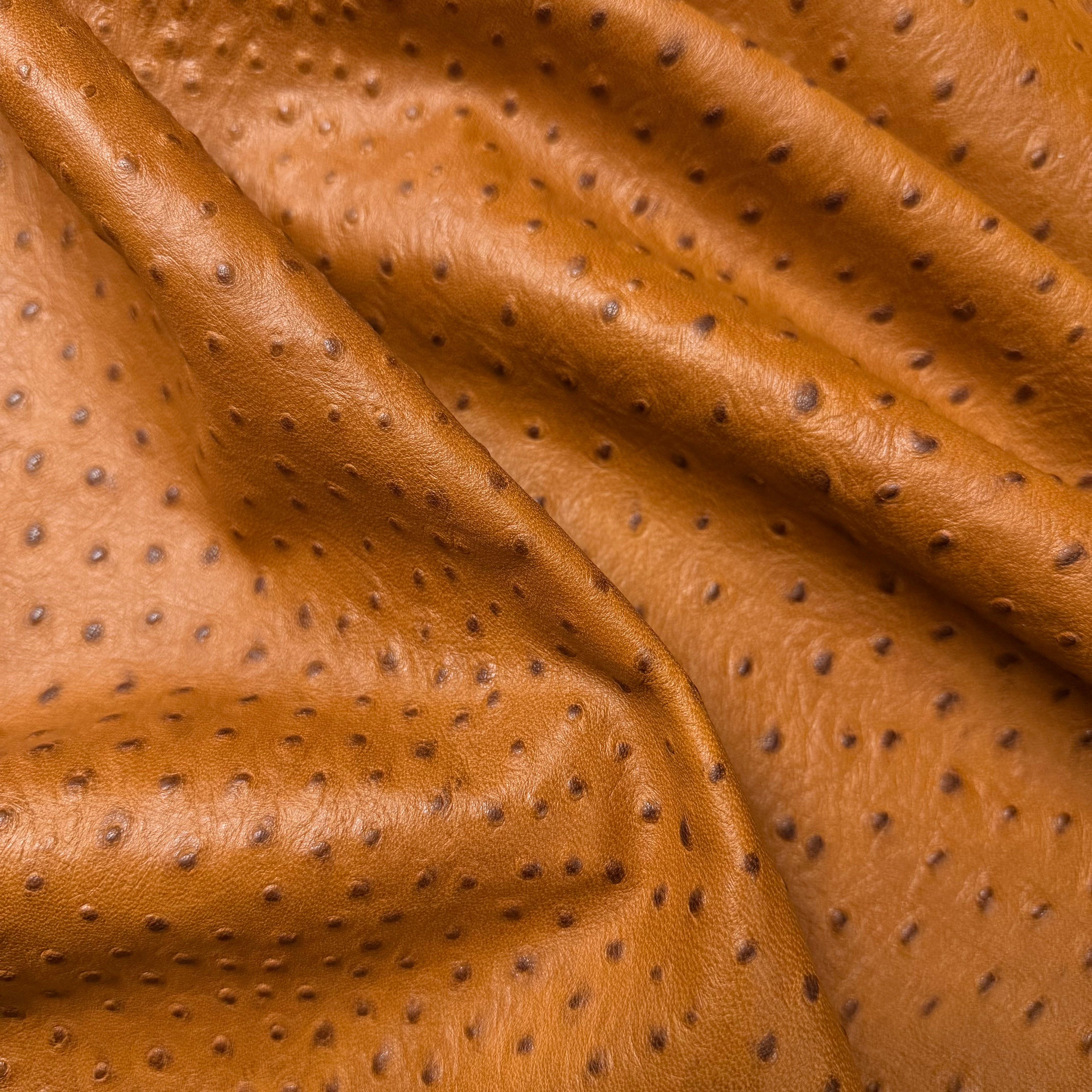 Ostrich Quill Embossed Veg Tan Lamb Nappa, 2-3 oz | 4 Colors