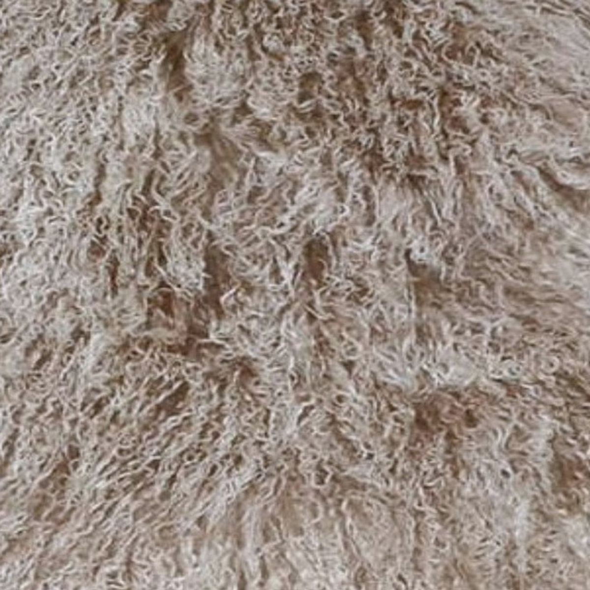 Mongolian Curly Lamb Plate | 30+ Colors