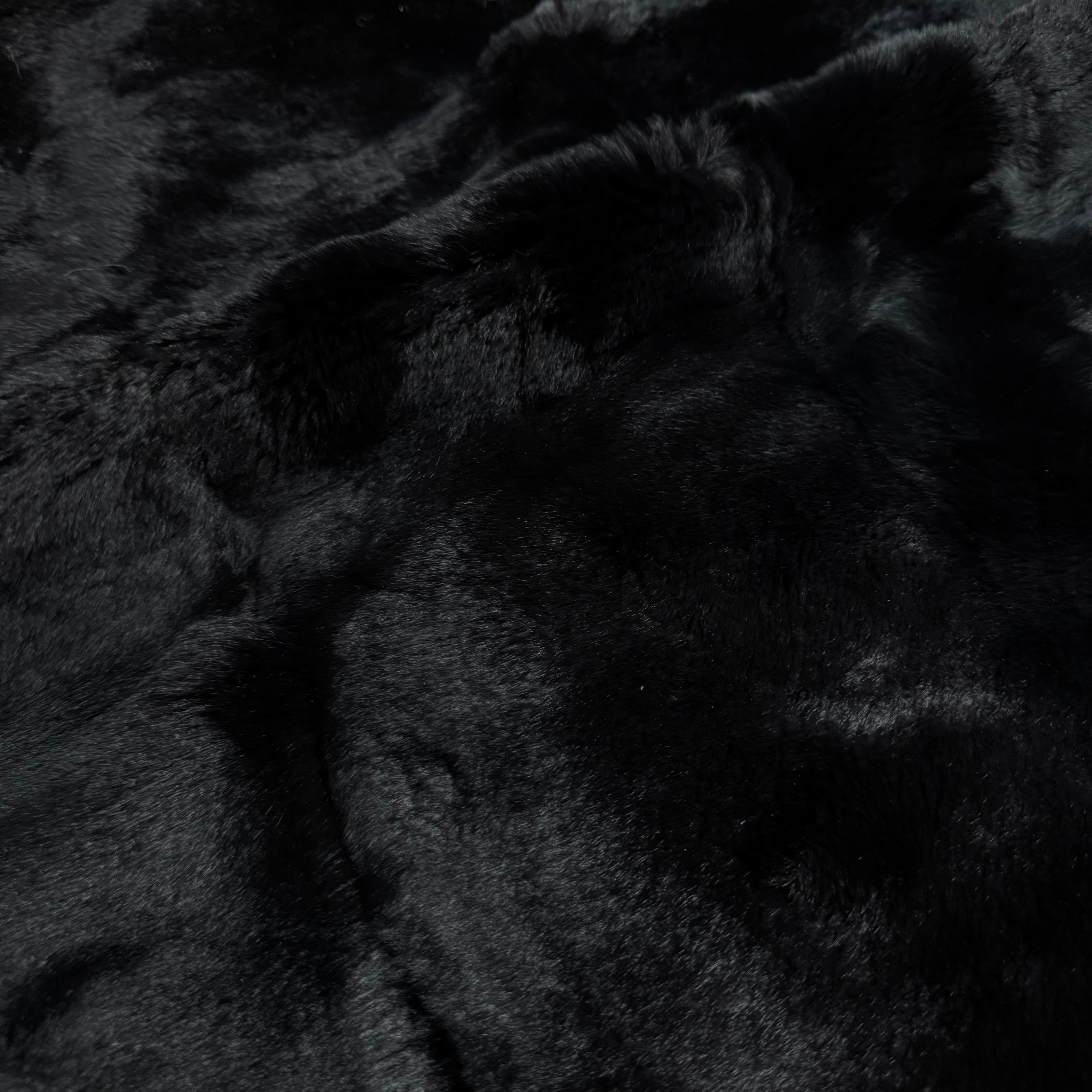 Rex Rabbit Plate (King Rabbit) | 3 Colors