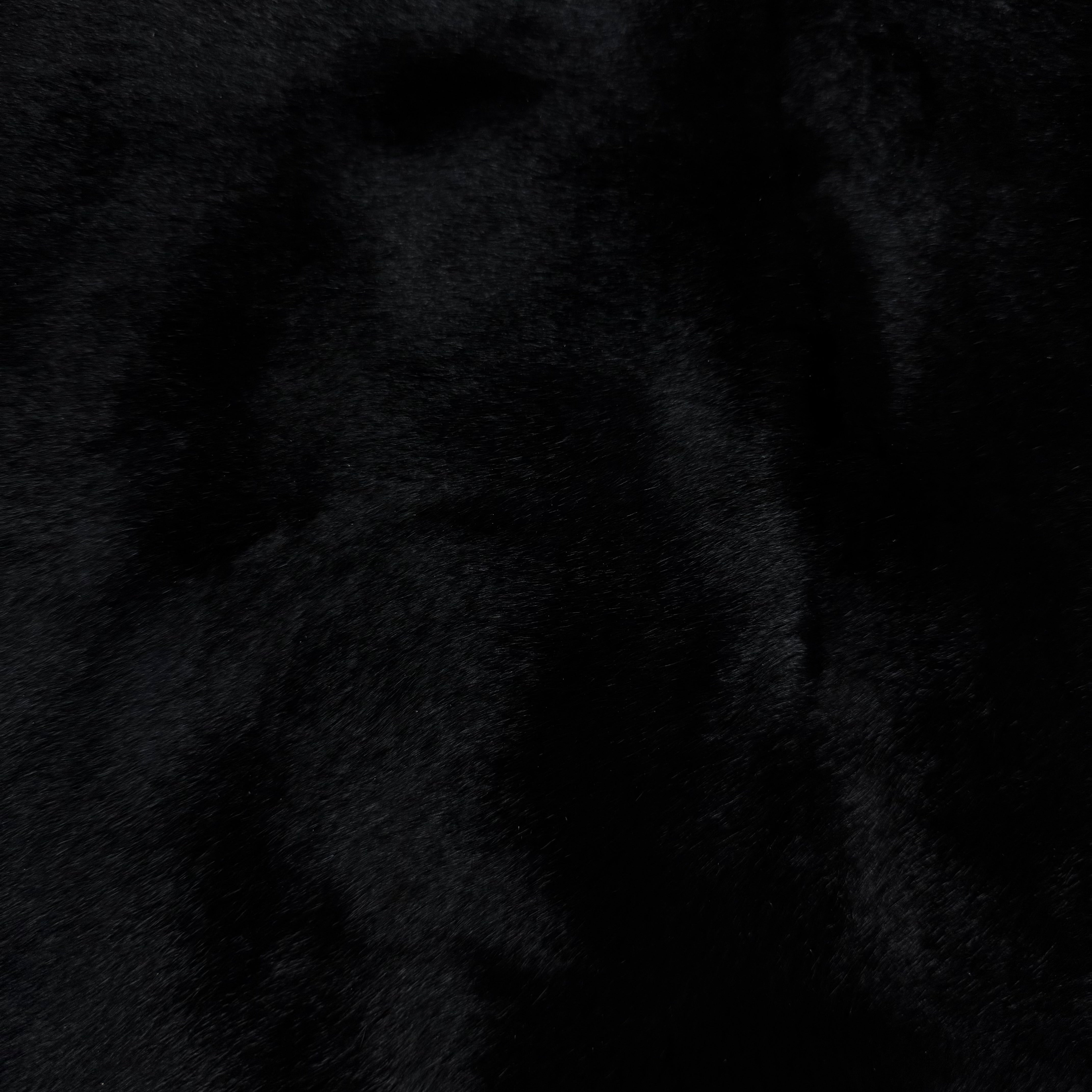 Rex Rabbit Plate (King Rabbit) | 3 Colors