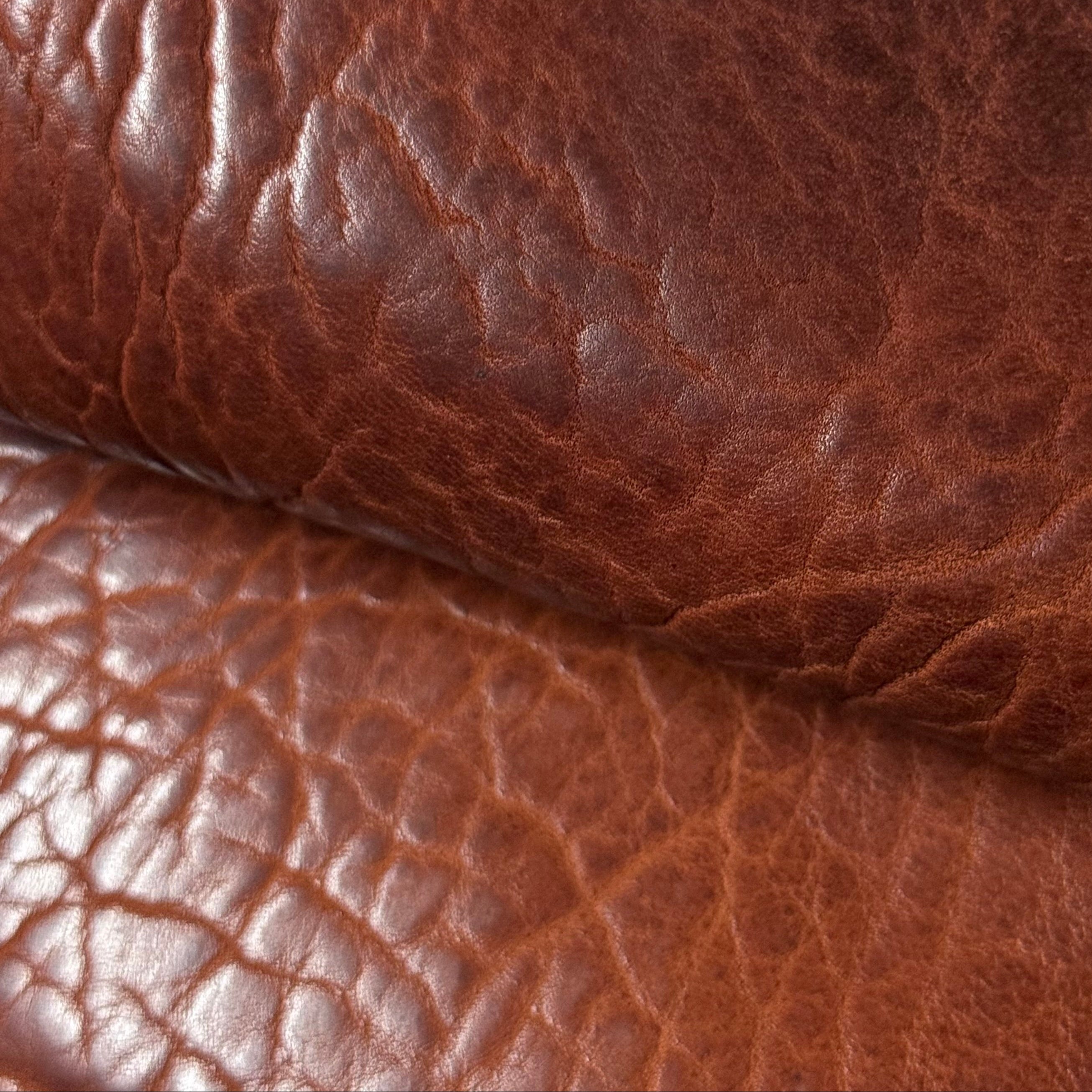 Shrunken American Bison, 4-5 oz | 7 Colors