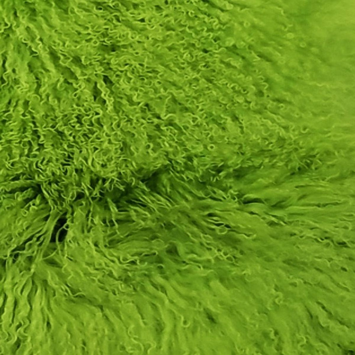 Mongolian Curly Lamb Plate | 30+ Colors