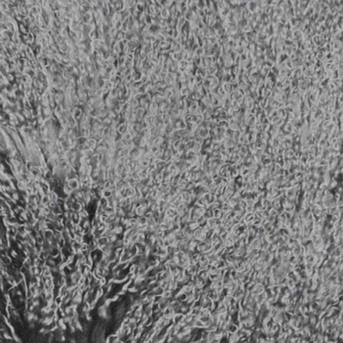 Mongolian Curly Lamb Plate | 30+ Colors