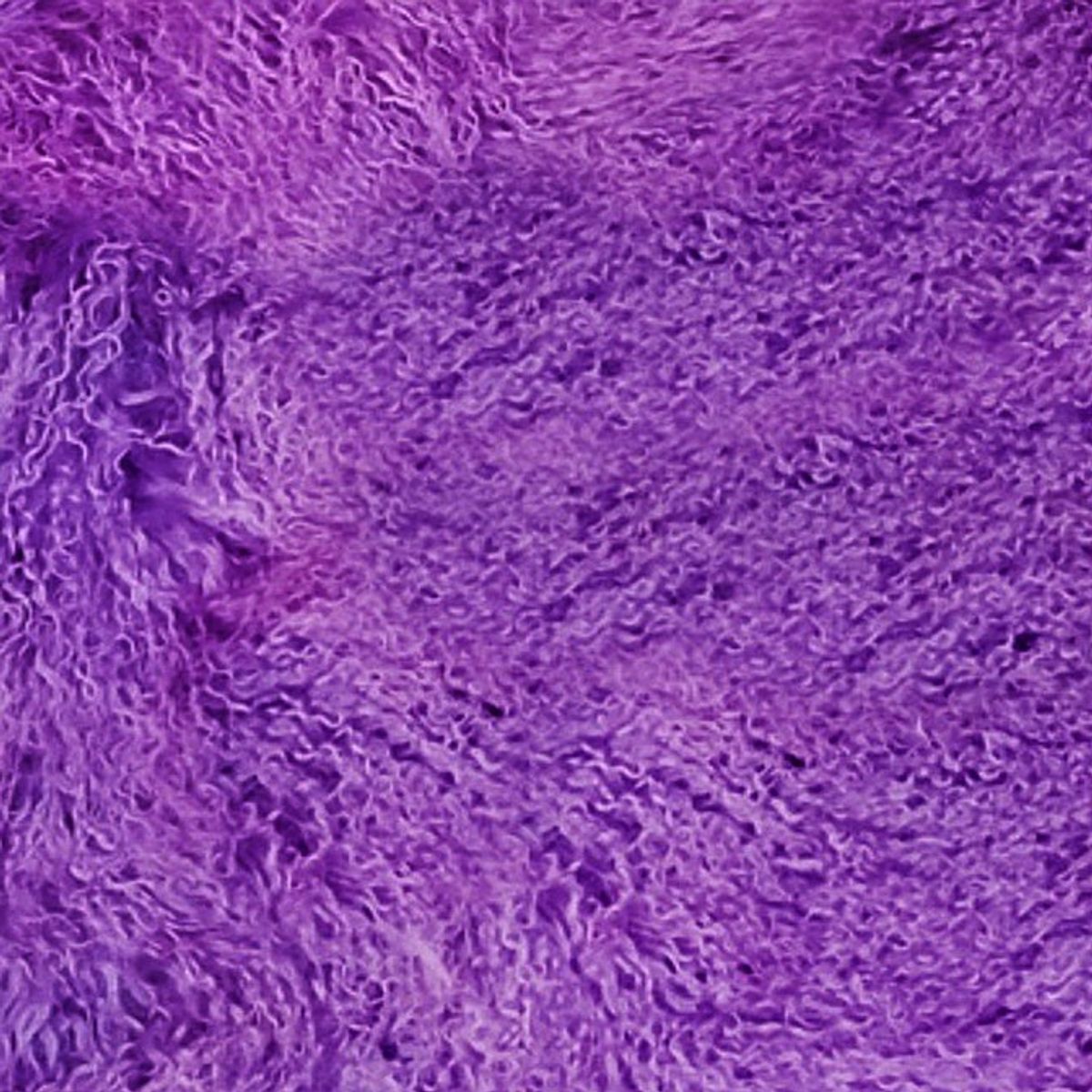 Mongolian Curly Lamb Plate | 30+ Colors