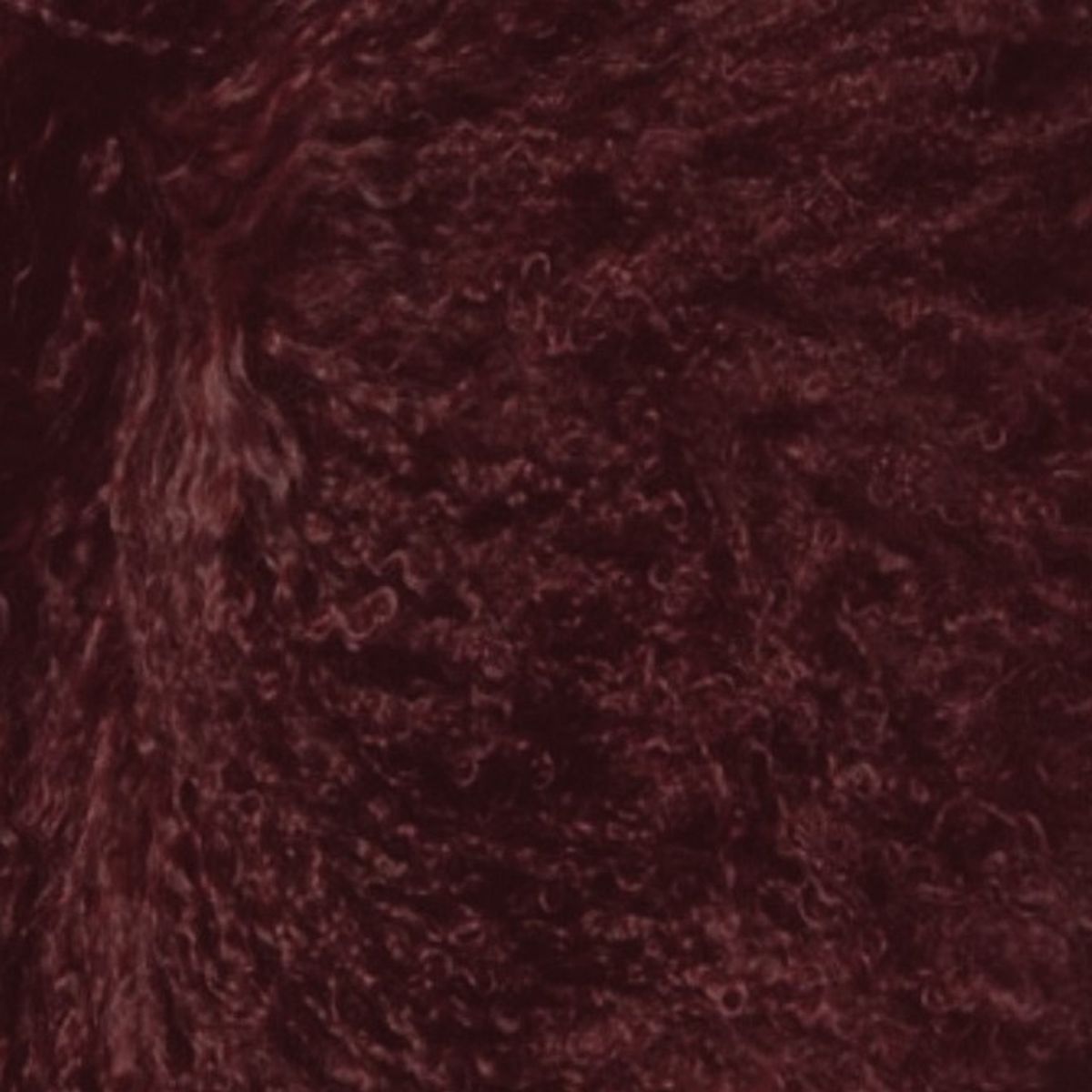 Mongolian Curly Lamb Plate | 30+ Colors