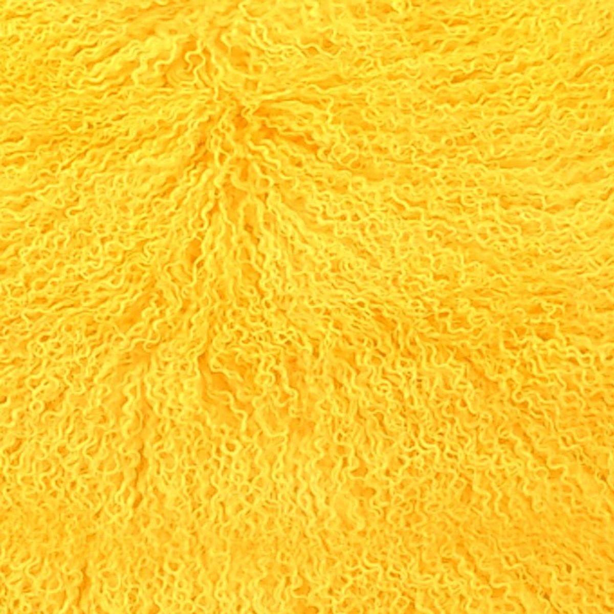 Mongolian Curly Lamb Plate | 30+ Colors