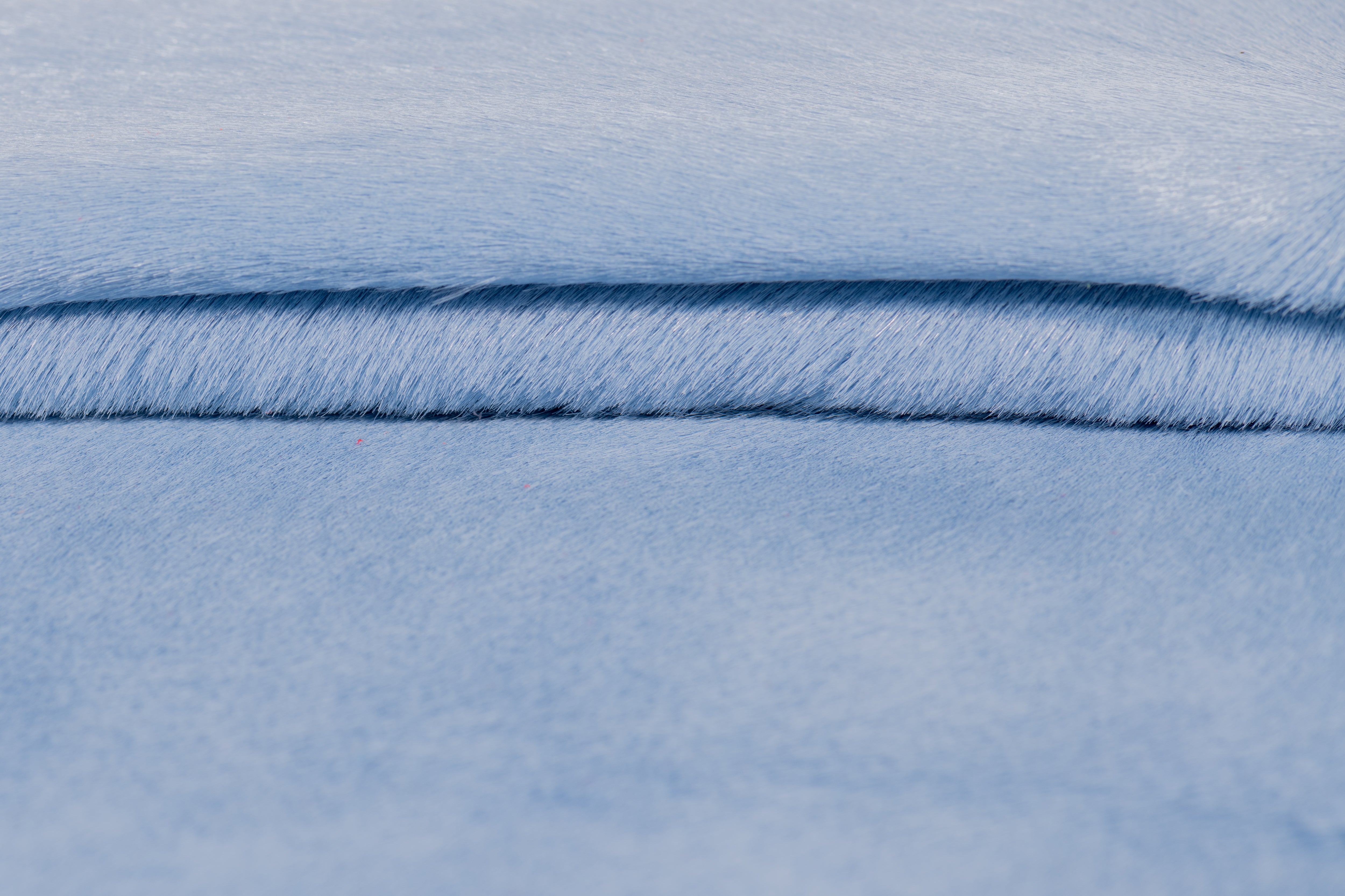 Cavalino Hair-On Calf, 2 oz | 20+ Colors