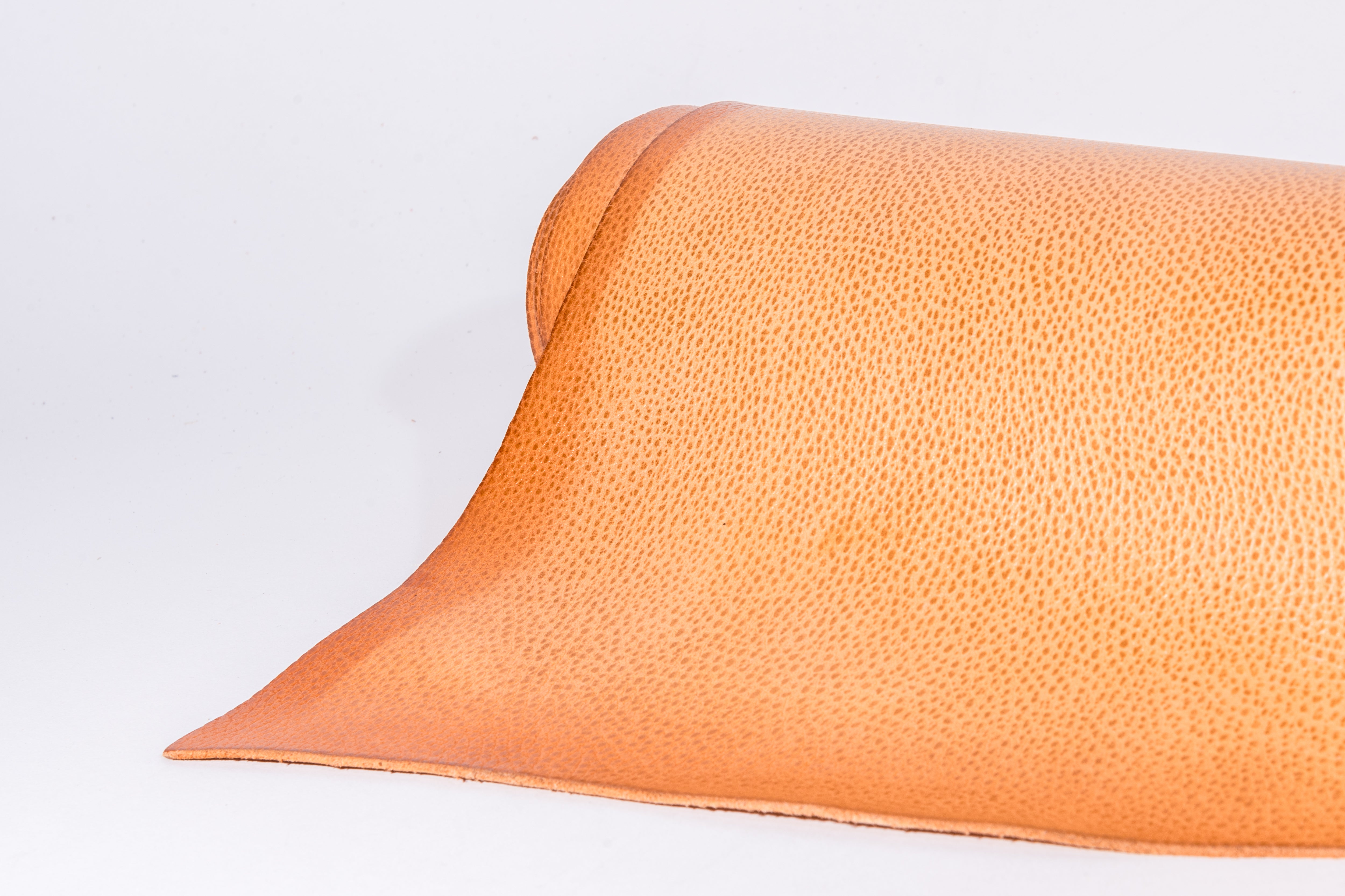 Conceria Walpier Dollaro, 5 oz | 3 Colors