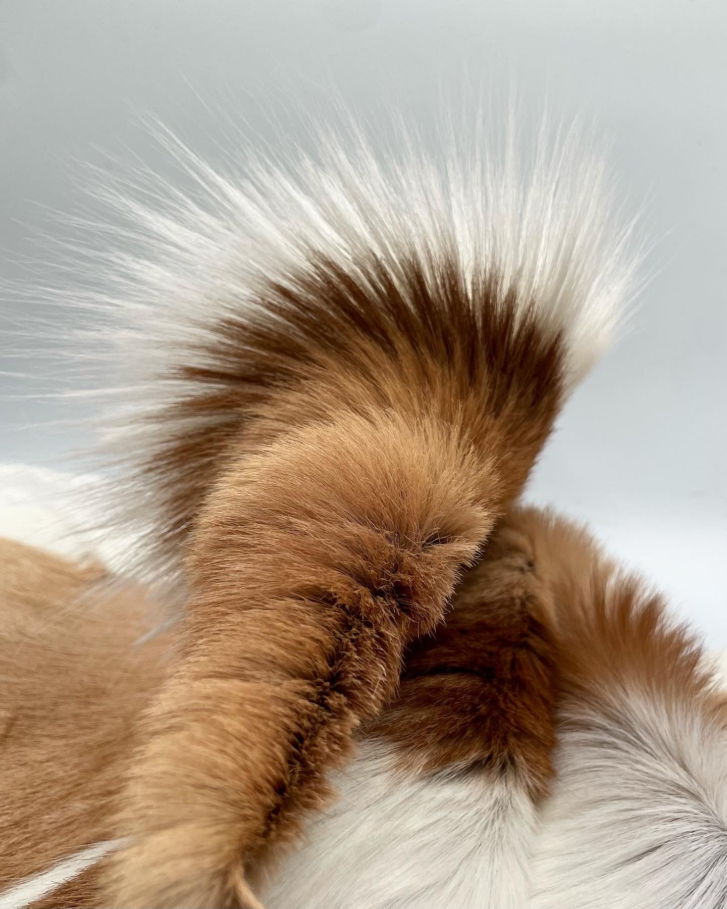 Springbok Natural Hair-on Hides, 2-2.5 oz