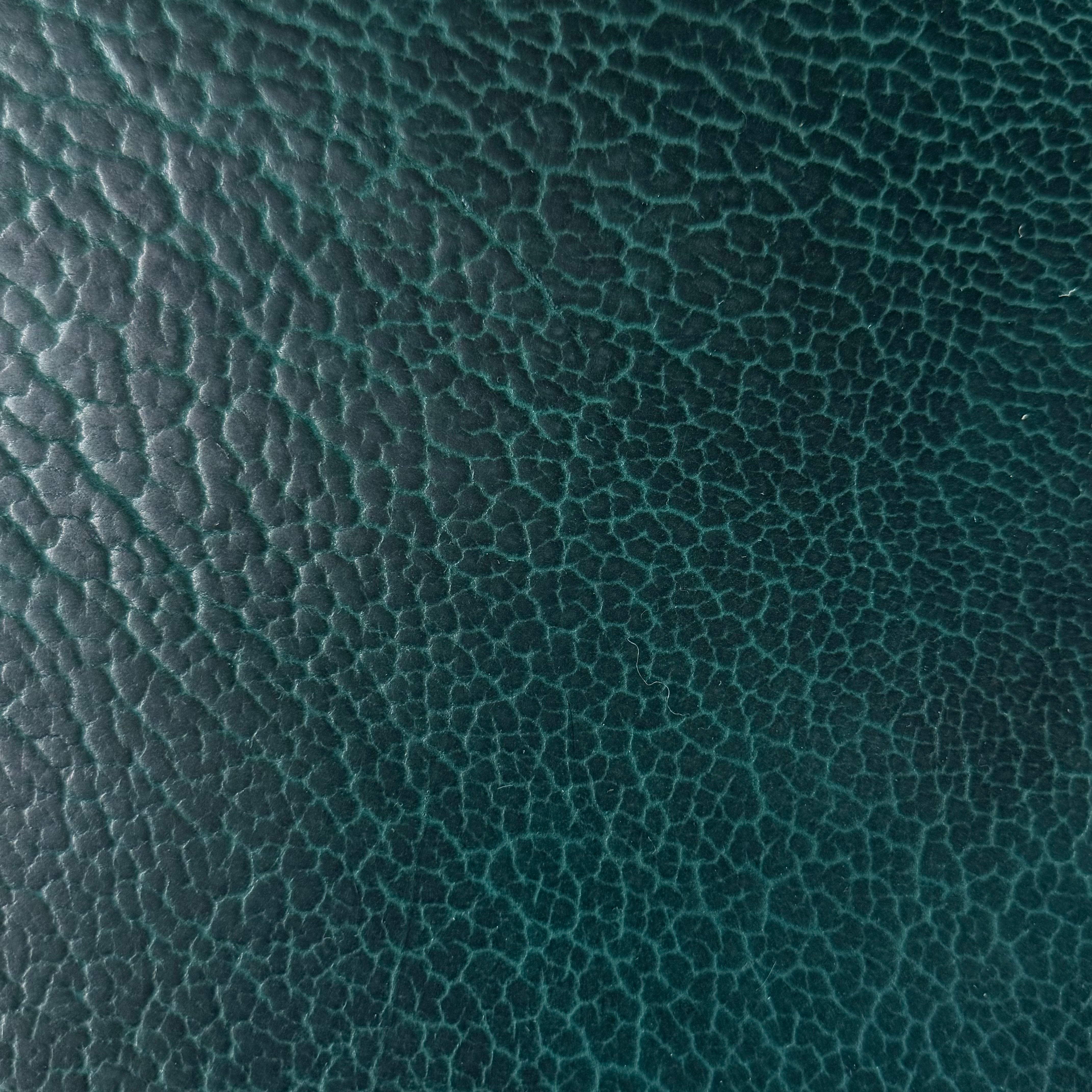 Shrunken American Bison, 4-5 oz | 7 Colors