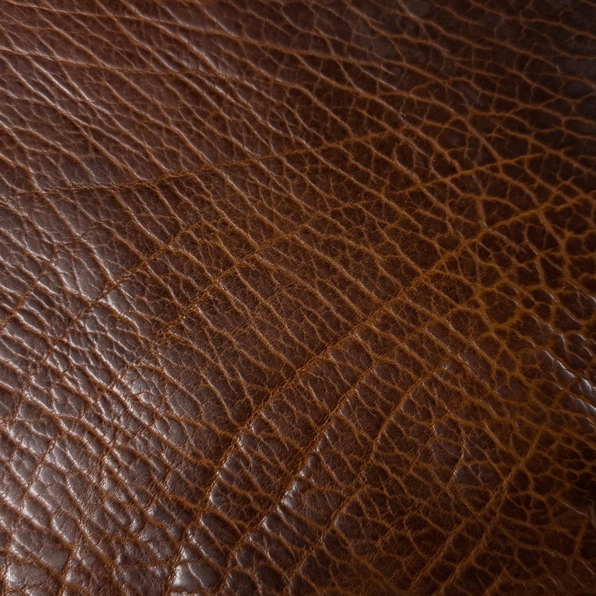 Shrunken American Bison, 4-5 oz | 7 Colors