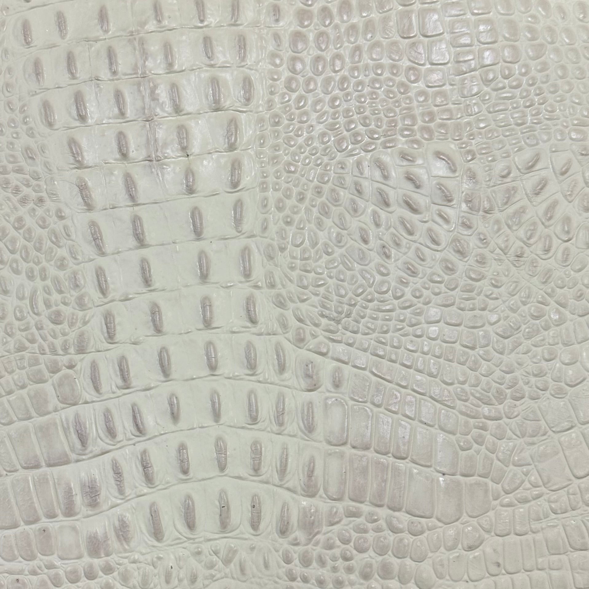 Hand-Stained Crocodile Embossed Cow Whole Hide | 25+ Colors