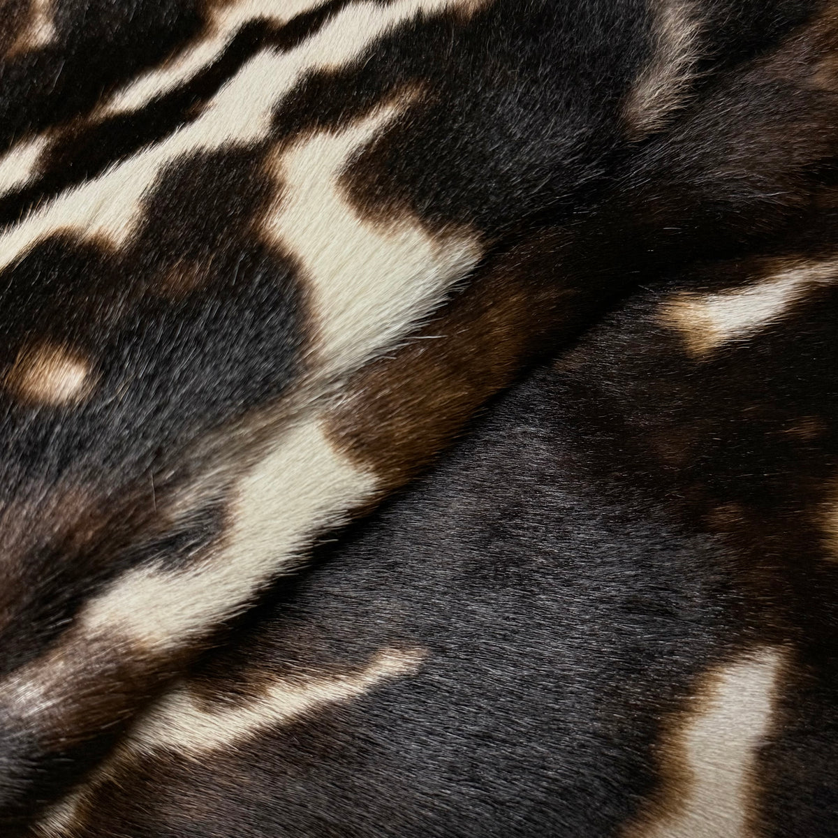Long Hair Tri-Color Cavallino Hair-On, 5 oz