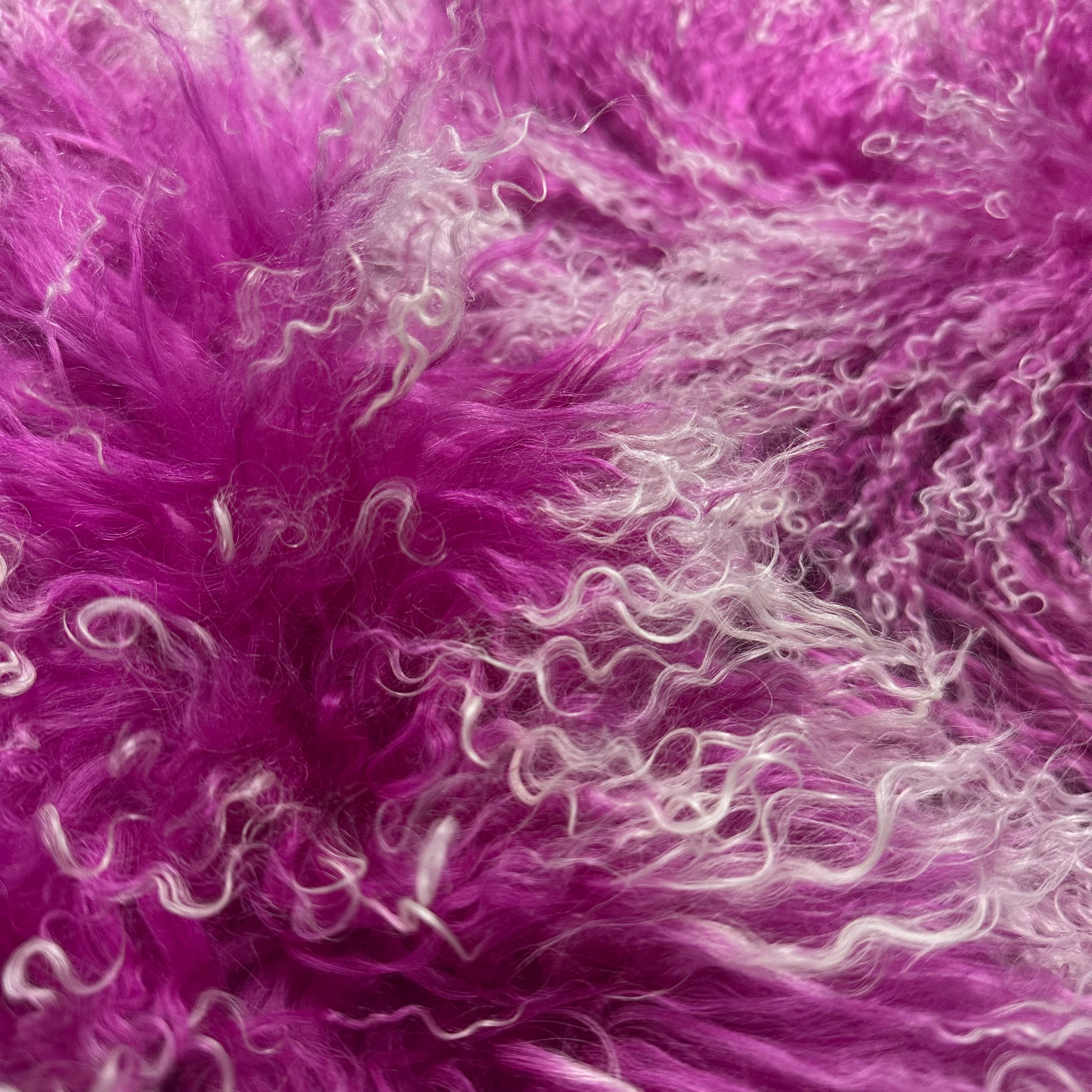 Mongolian Tibetan Curly Lamb Plate | Pink and Blue Tipped