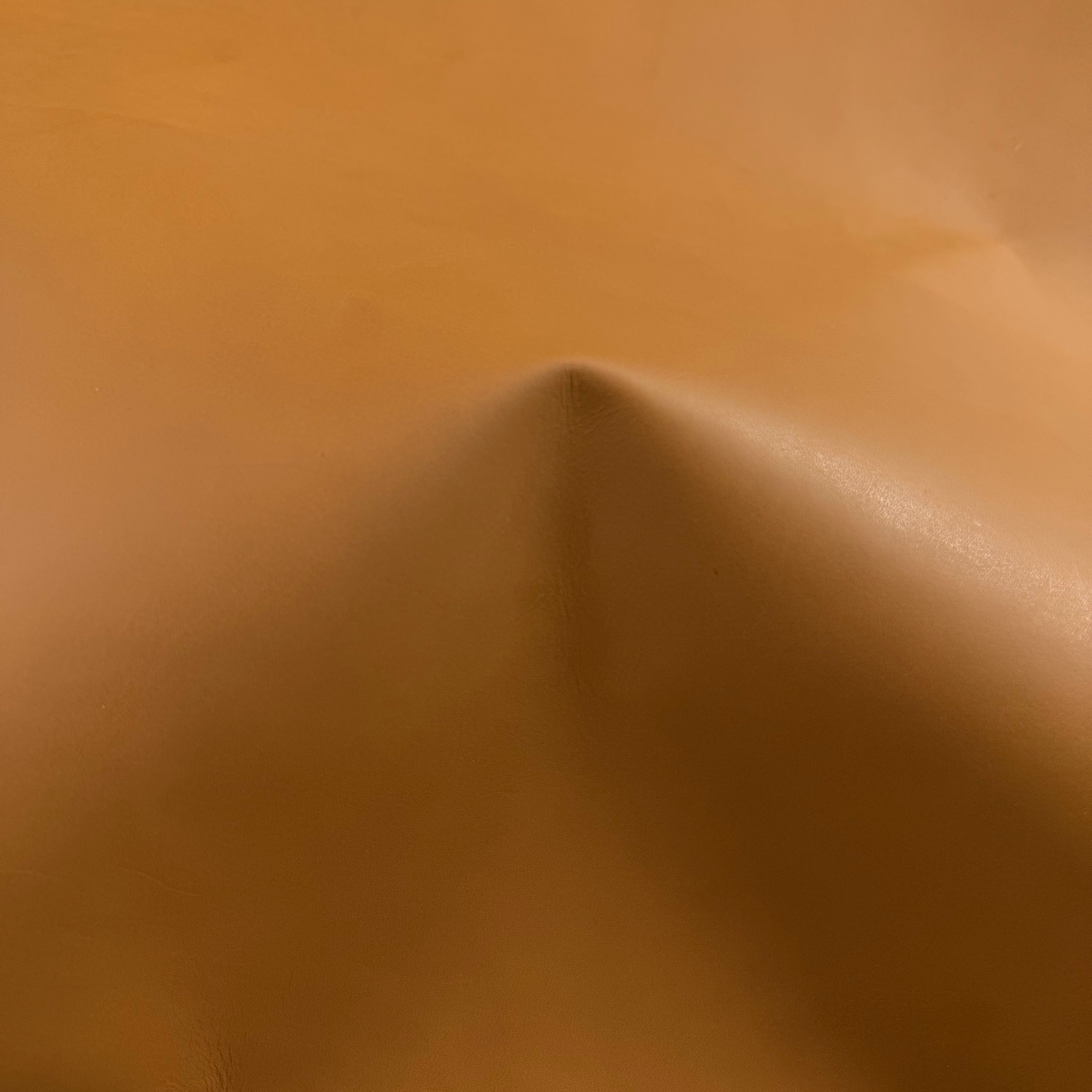 Burnishable Veg Tan Buffalo Calf, 3 oz | 7 Colors