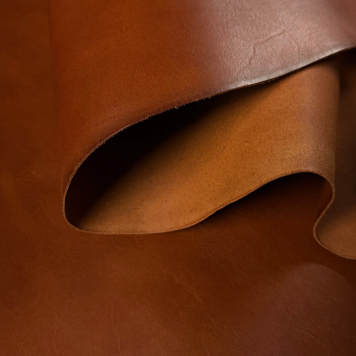 Conceria Walpier Buttero, 7 oz. | 5 Colors