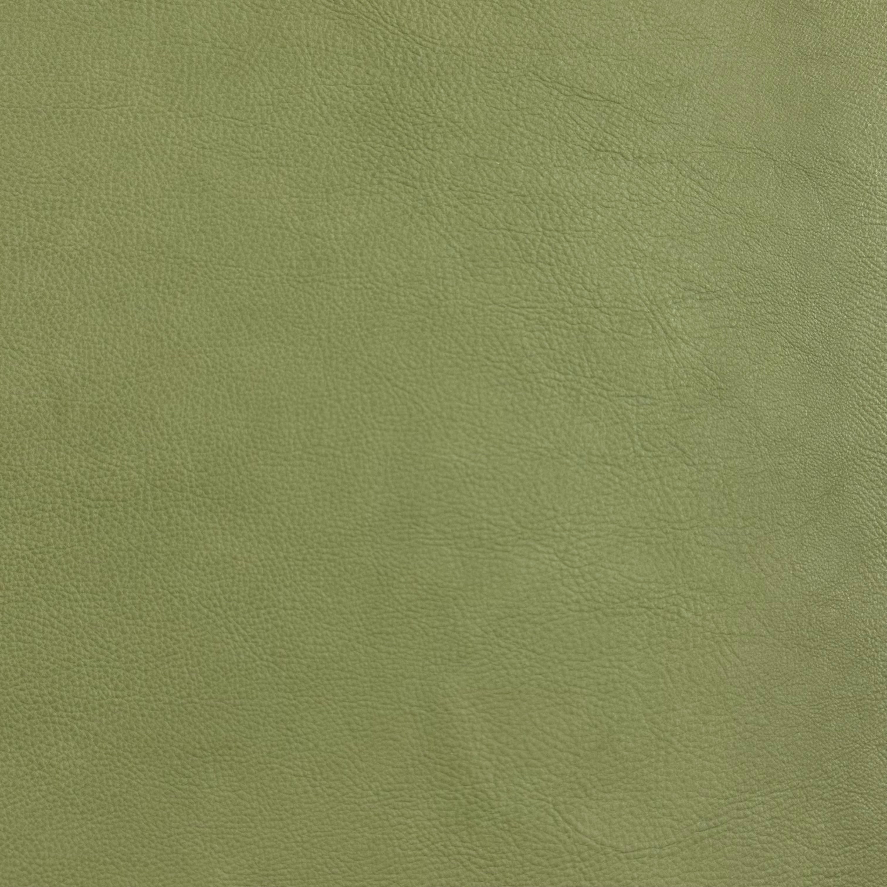 Salice Calf - Italian, Aniline | Incas Tannery