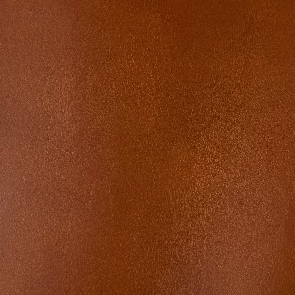 Conceria Walpier Buttero, 7 oz. | 5 Colors