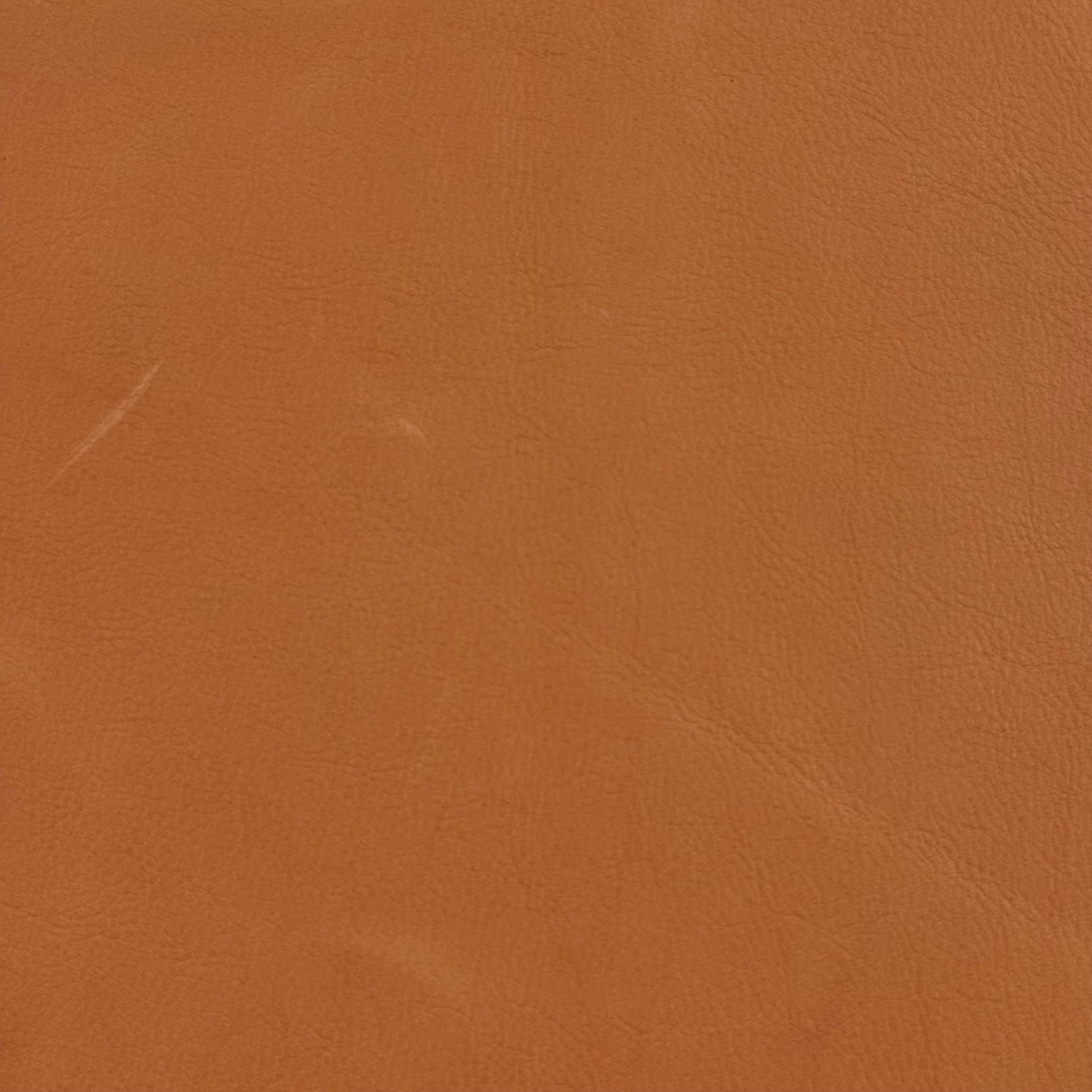 Salice Calf - Italian, Aniline | Incas Tannery