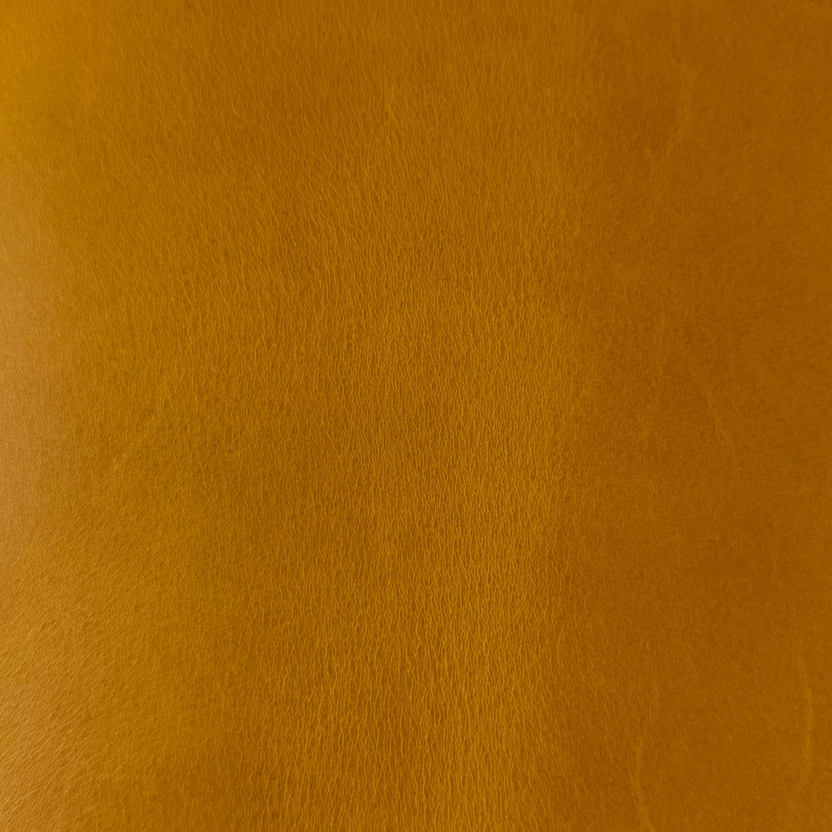 Conceria Walpier Buttero, 7 oz. | 5 Colors