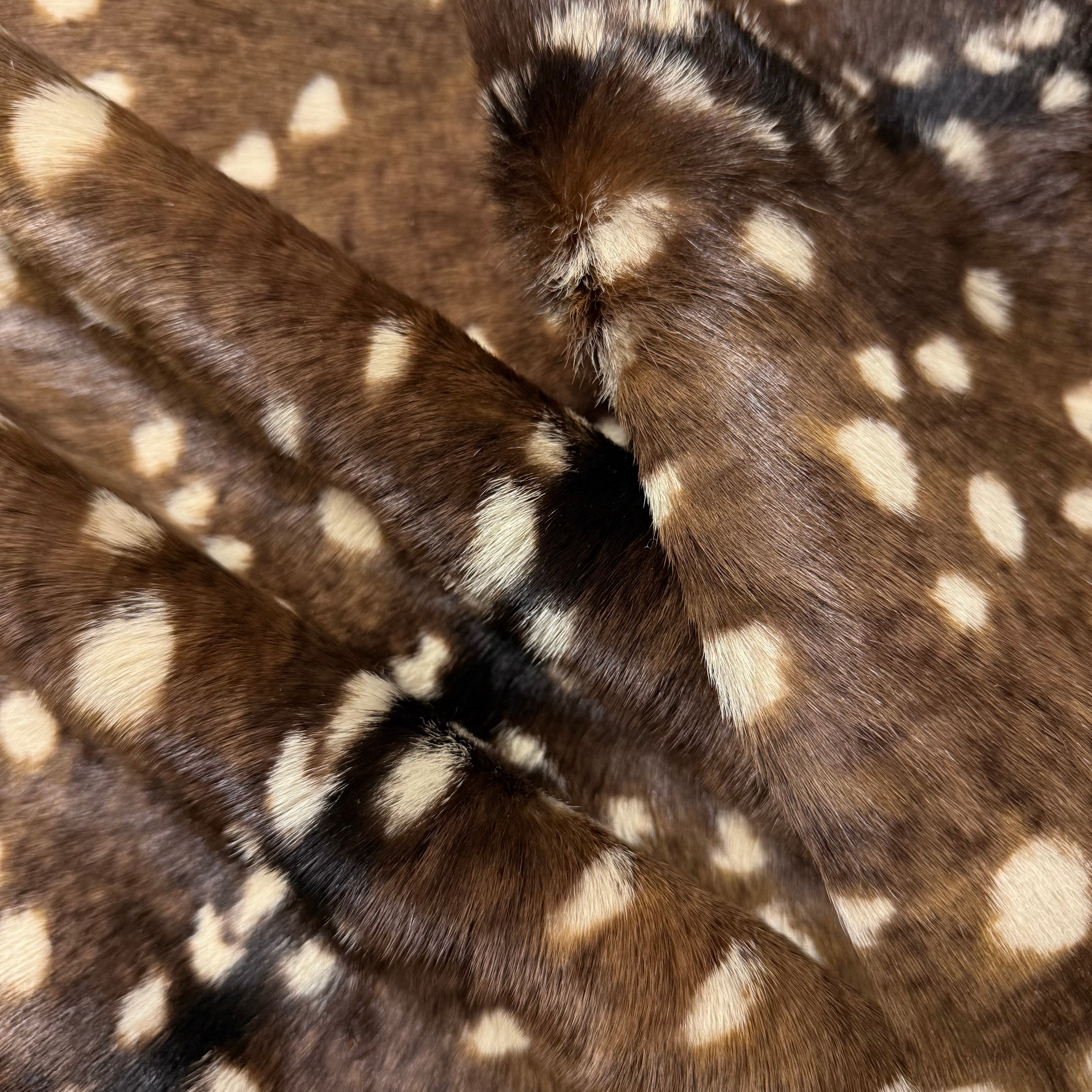 Axis Deer Print Cavallino Hair-On Calf, 2.5 oz