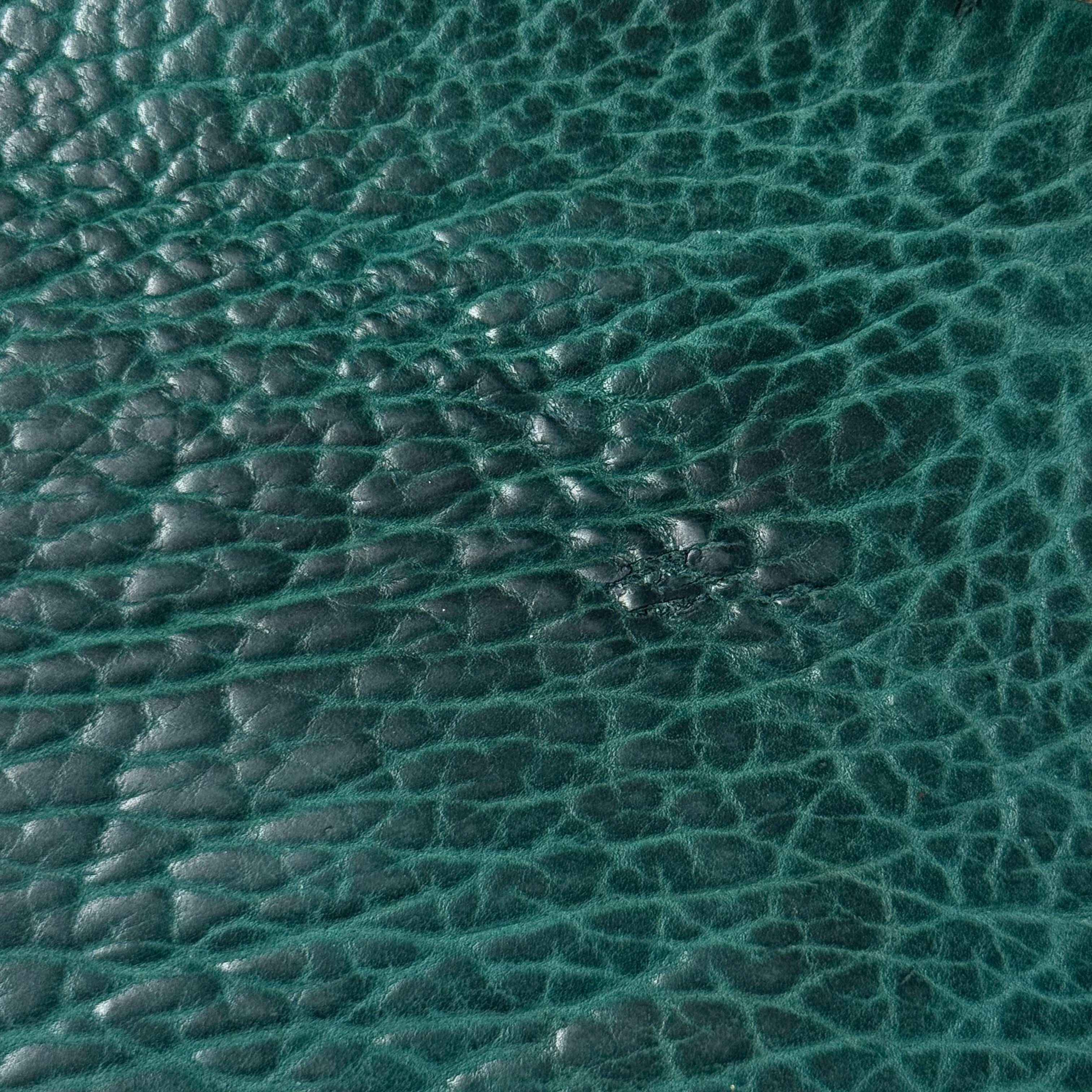 Shrunken American Bison, 4-5 oz | 7 Colors