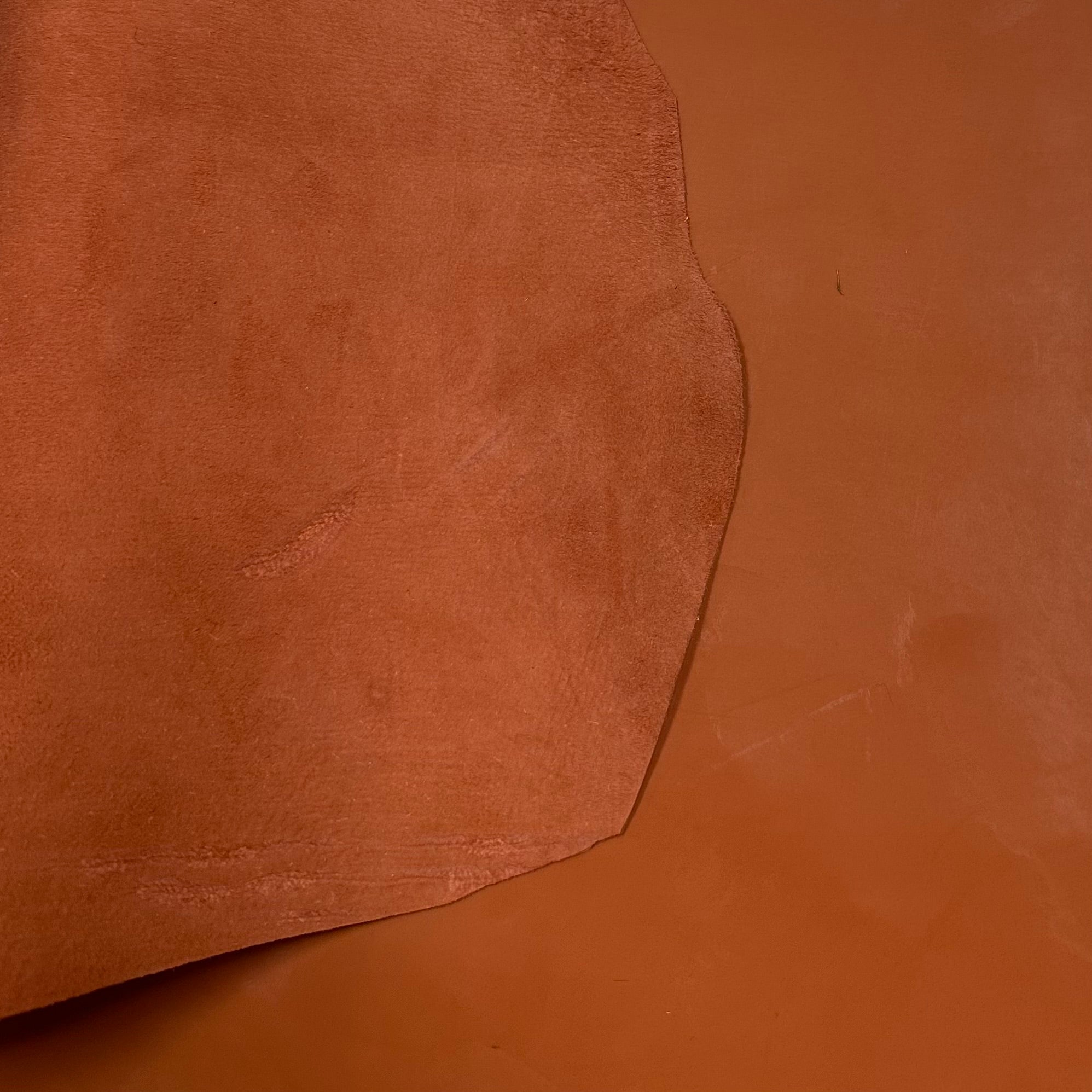 Patent Lamb - Coral Orange
