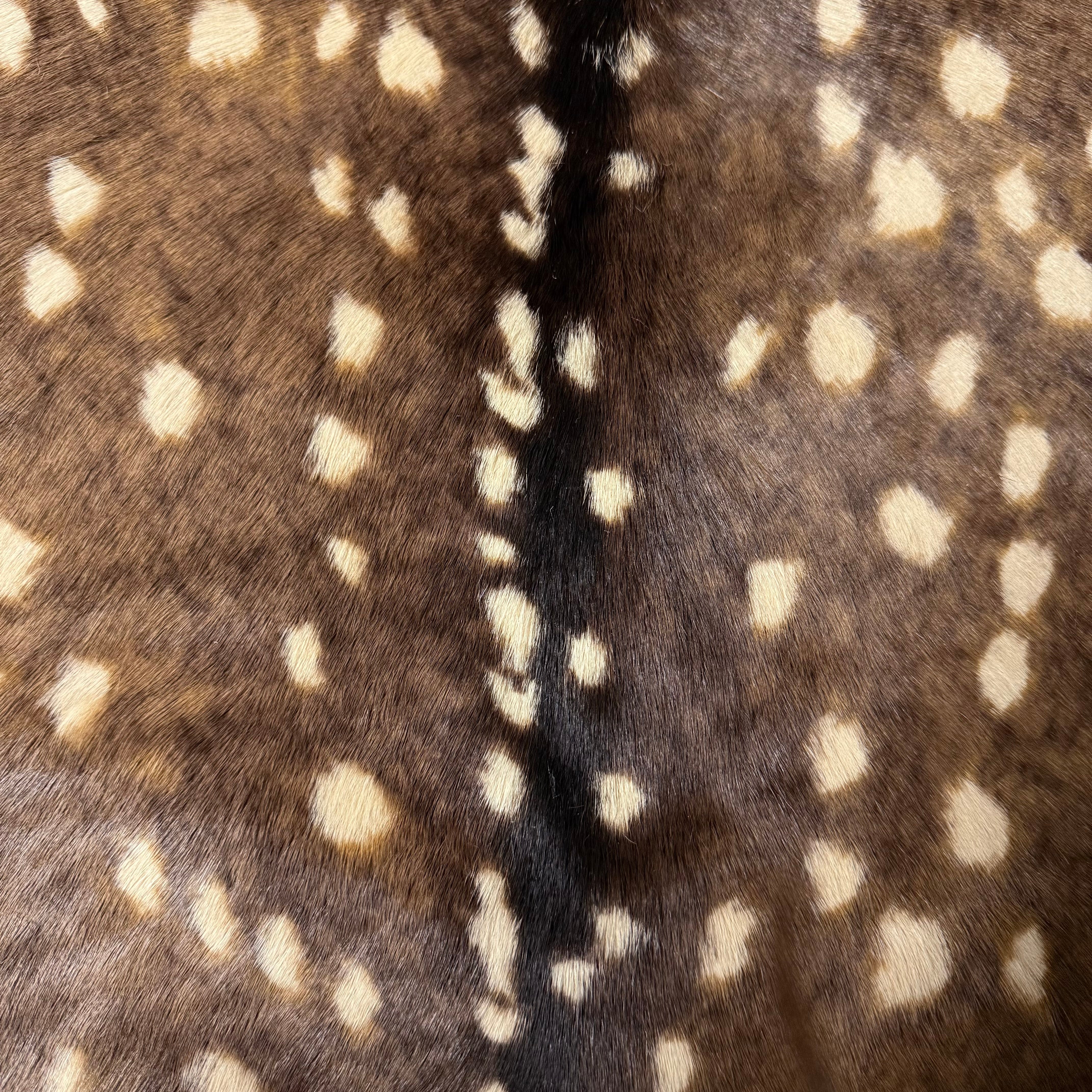 Axis Deer Print Cavallino Hair-On Calf, 2.5 oz