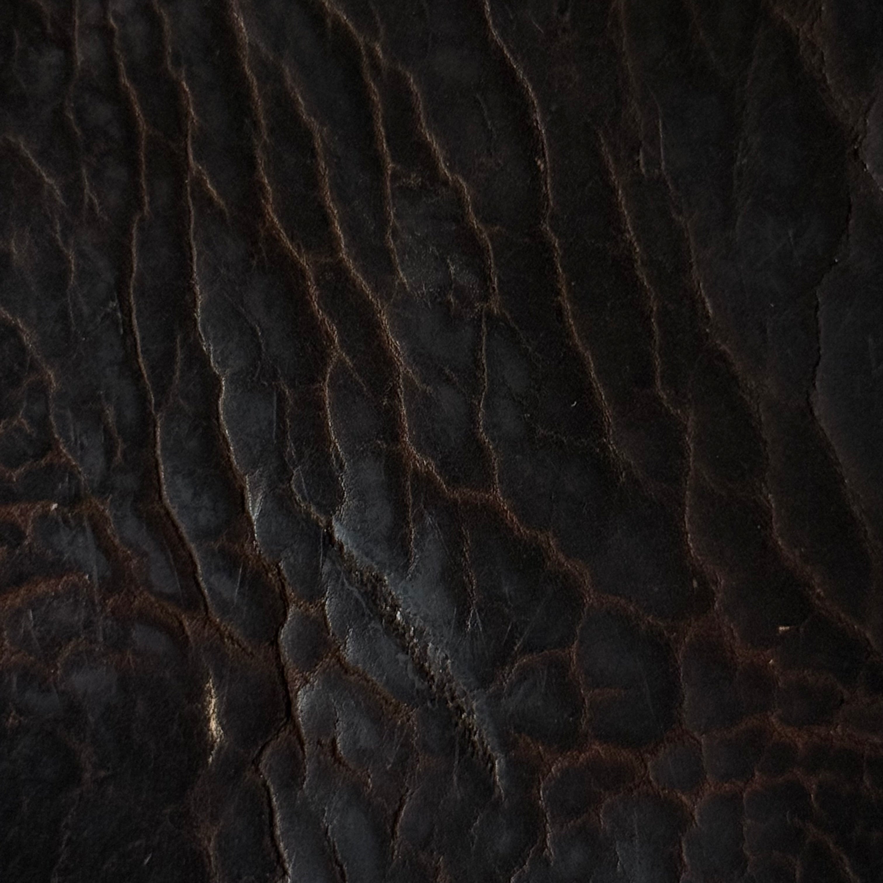 Shrunken American Bison, 4-5 oz | 7 Colors