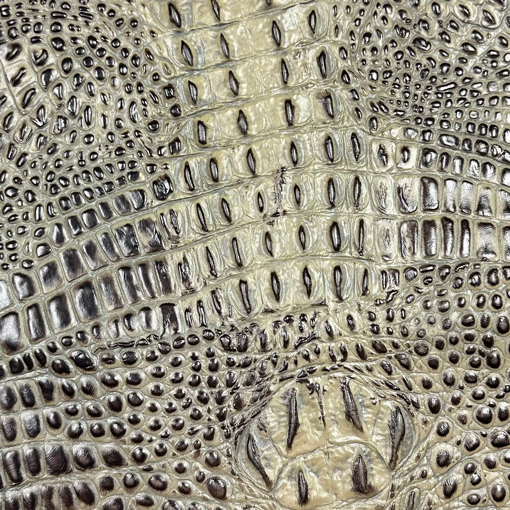 Hand-Stained Crocodile Embossed Cow Whole Hide | 25+ Colors