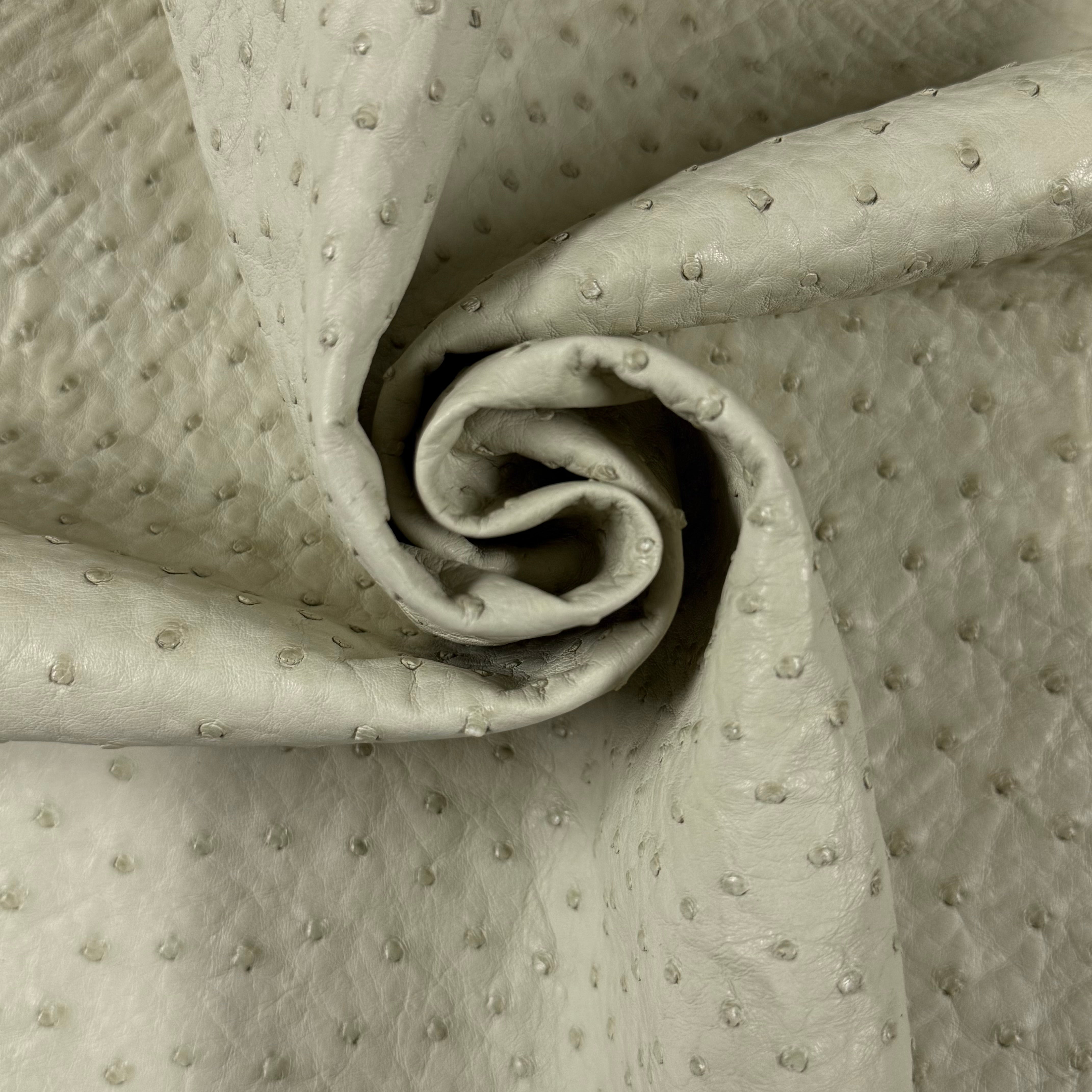 Light beige full quill genuine ostrich leather, soft and textured, rolled in a spiral.