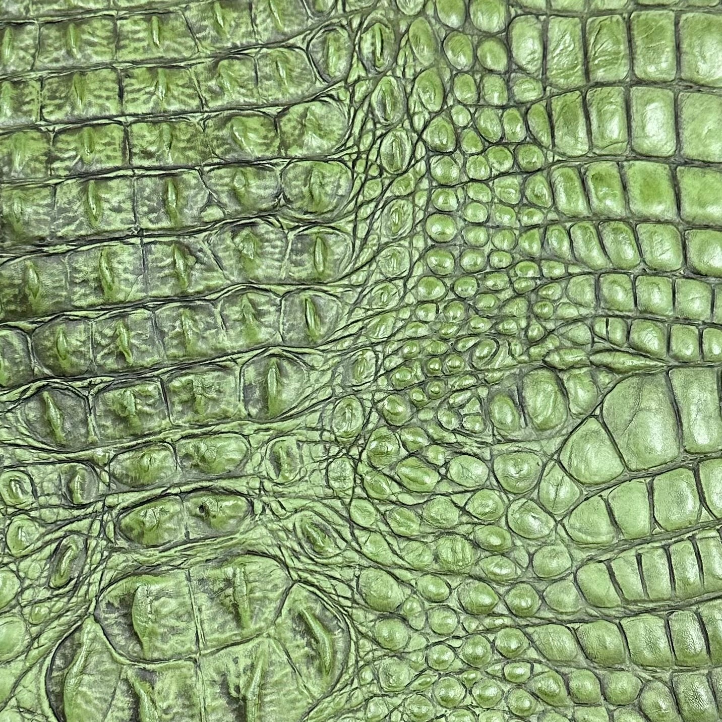 Hand-Stained Crocodile Embossed Cow Whole Hide | 25+ Colors