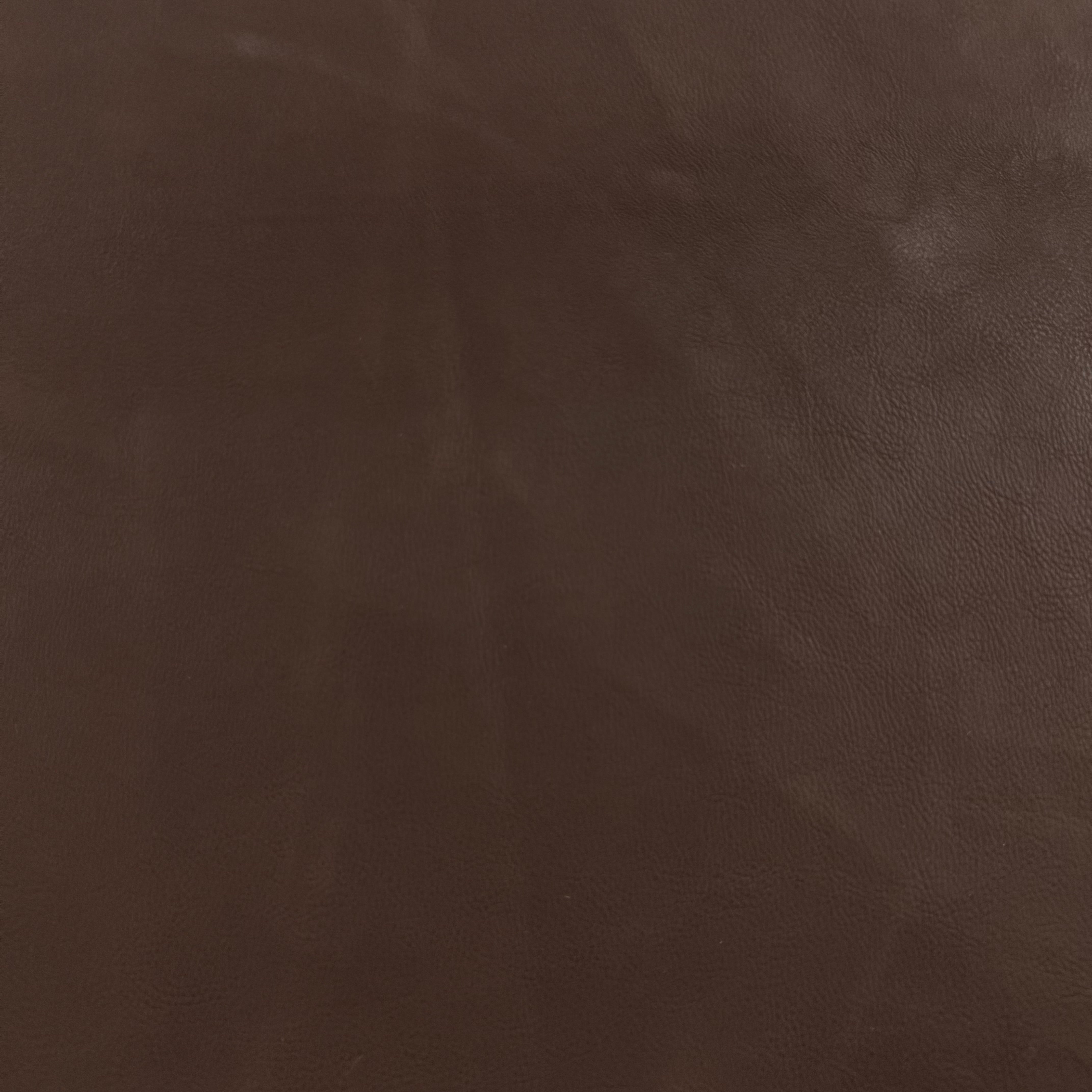 Salice Calf - Italian, Aniline | Incas Tannery