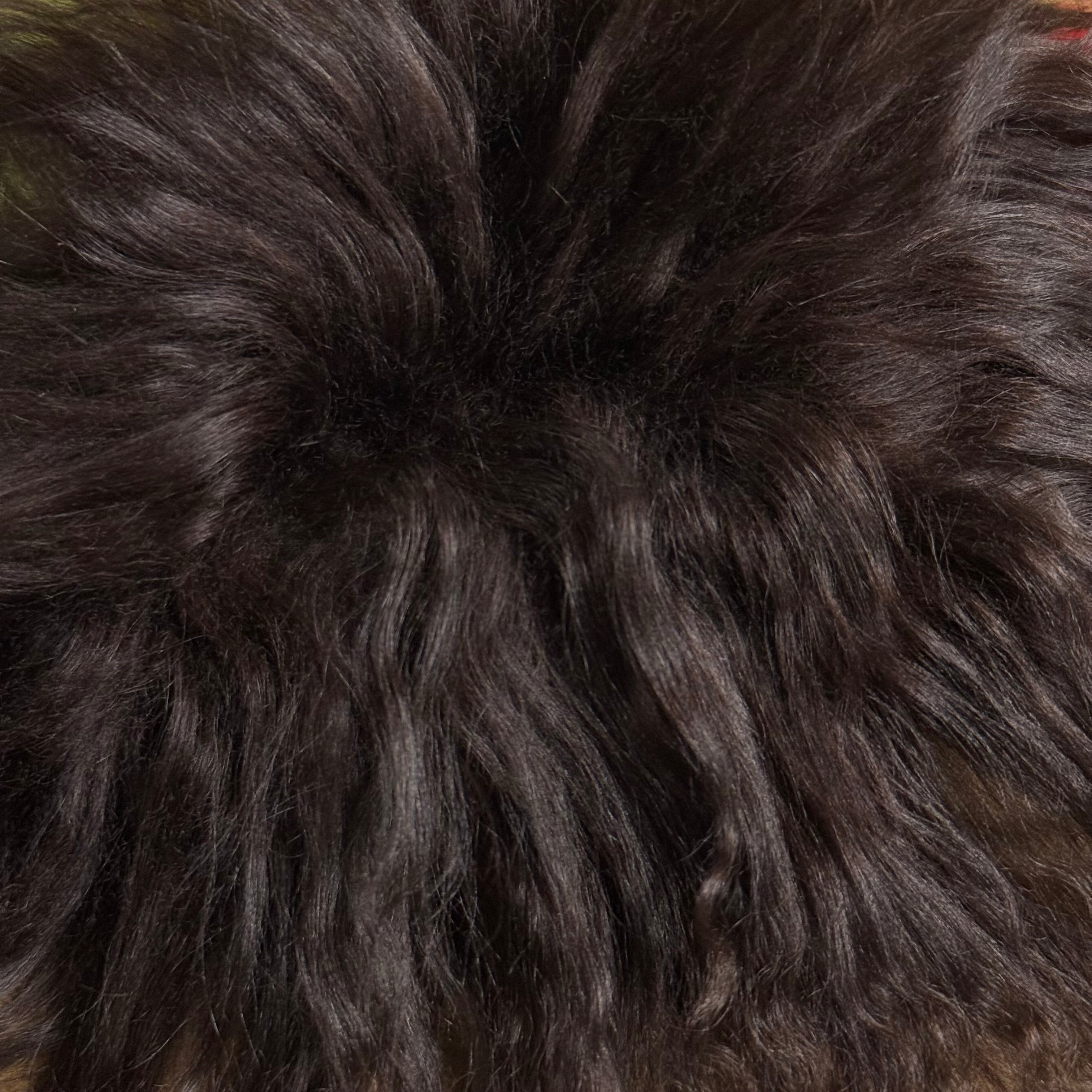 Mongolian Tibetan Curly Lamb Plate | 30+ Colors