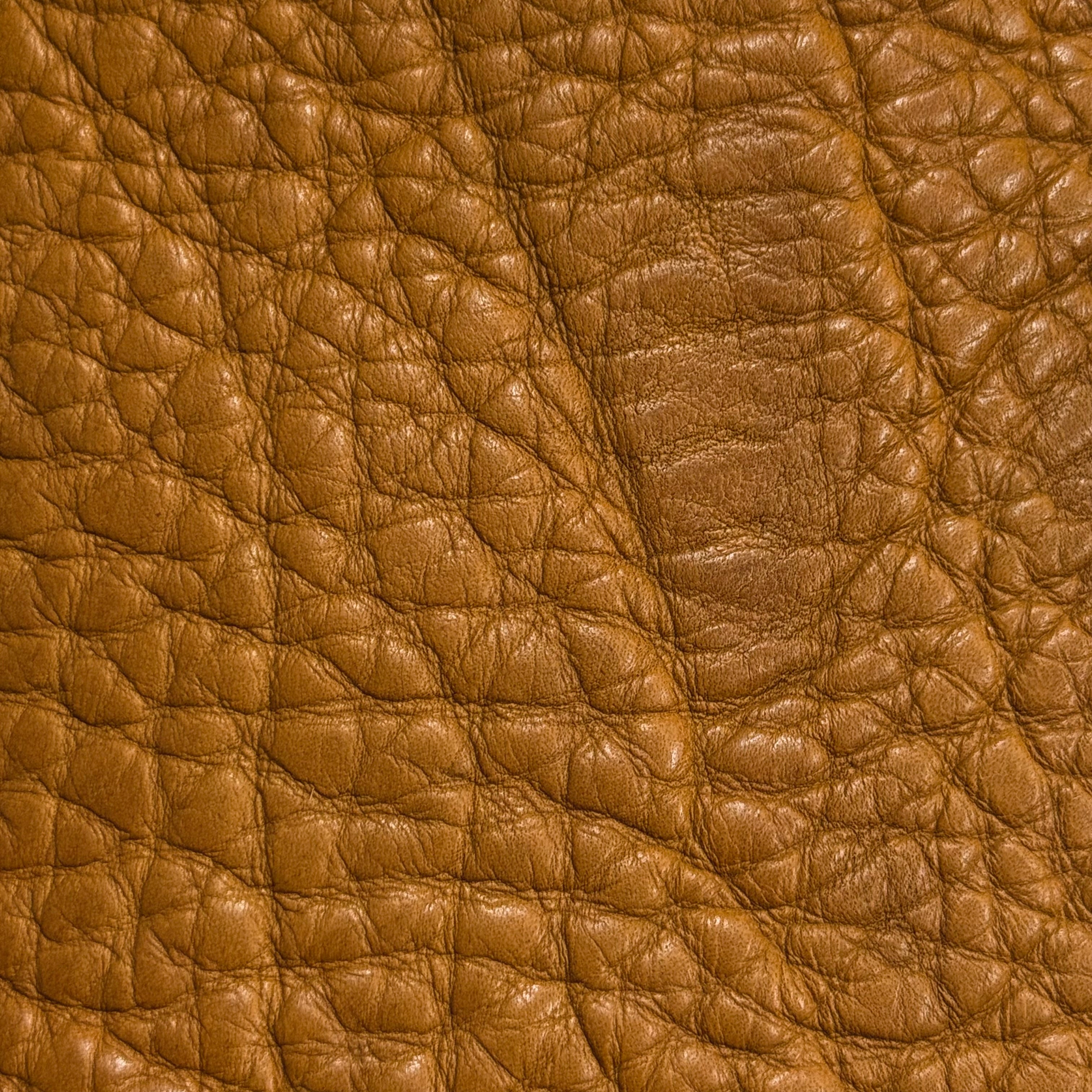 Heavy Moccasin American Bison, 8-9 oz | 7 Colors